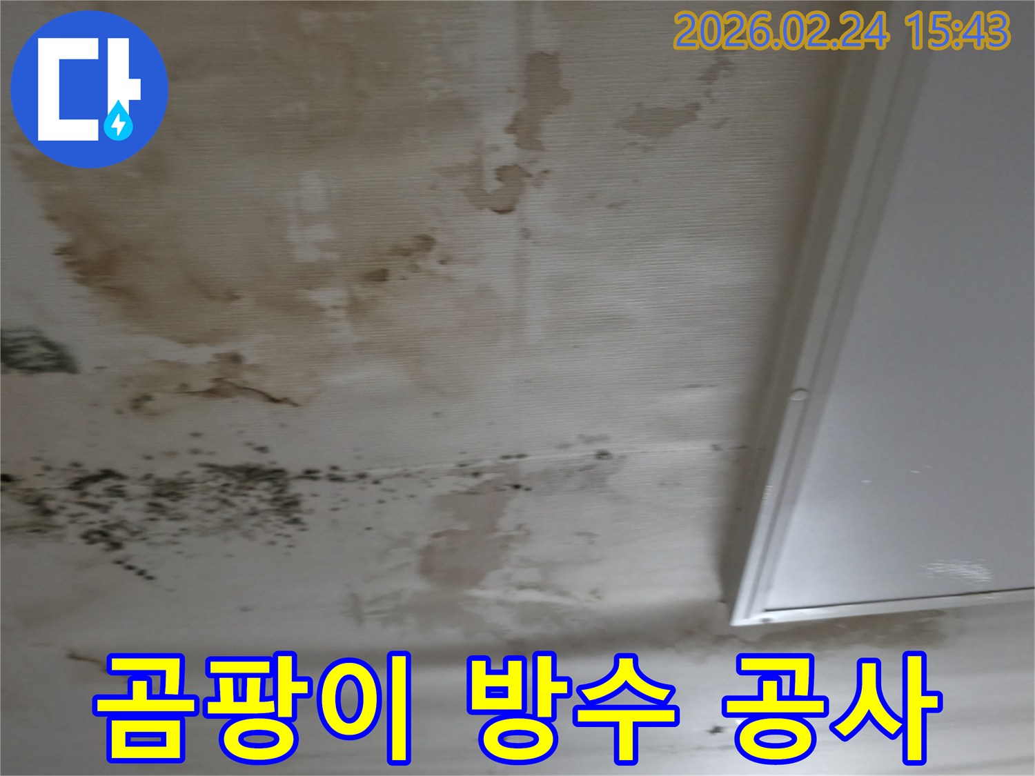 천장 누수로 인해 발생한 곰팡이를 제거하고-방수 공사를 준비하는-현장 모습