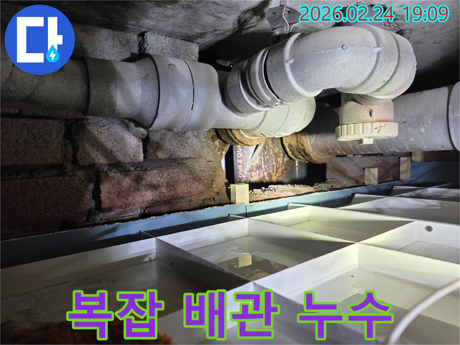 복잡하게-얽힌-배관-사이에서-발생한-누수-지점을-정밀하게-탐지하는-현장-사진