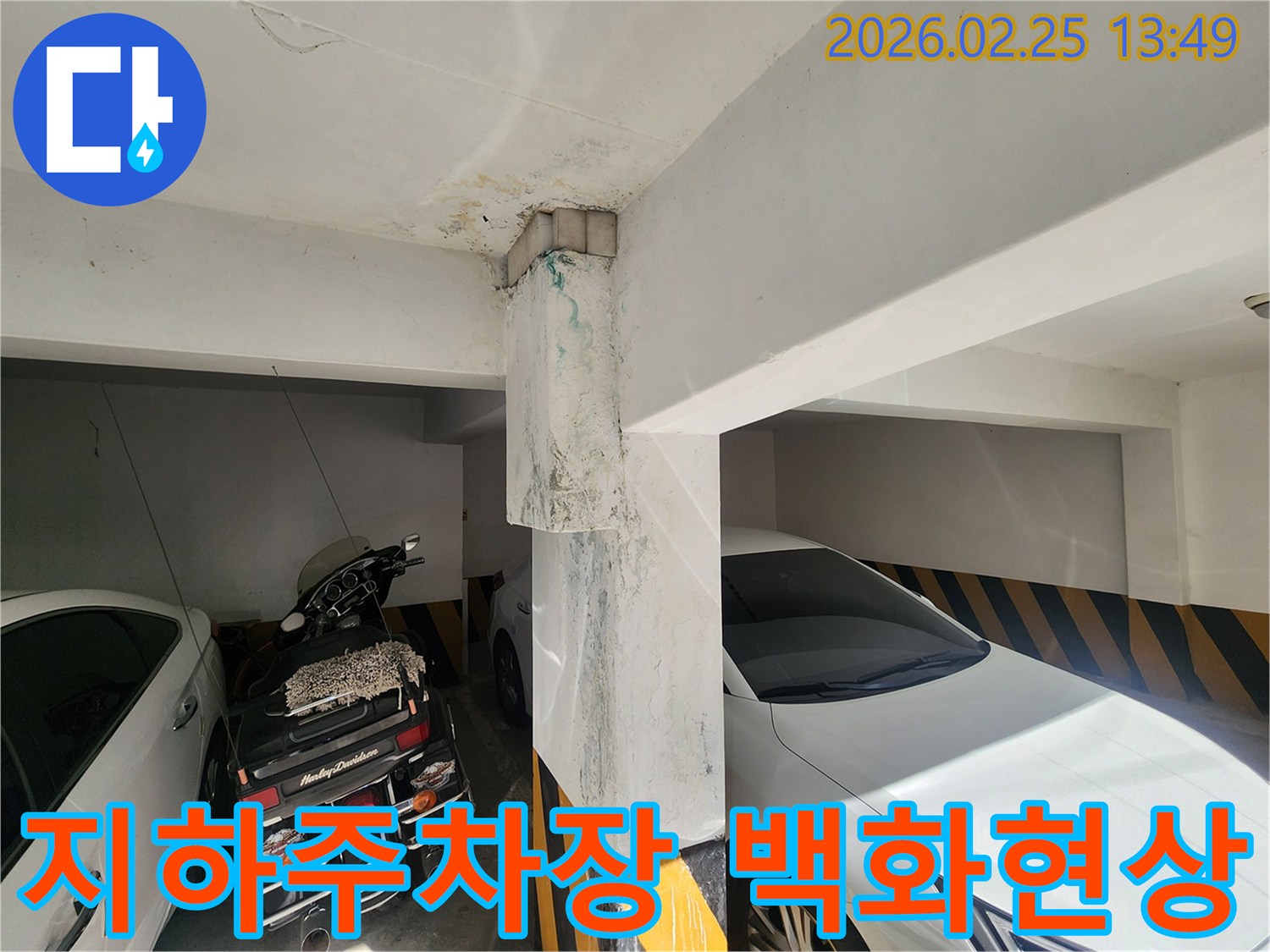 지하주차장-천장-기둥-백화현상-누수-전문가-진단