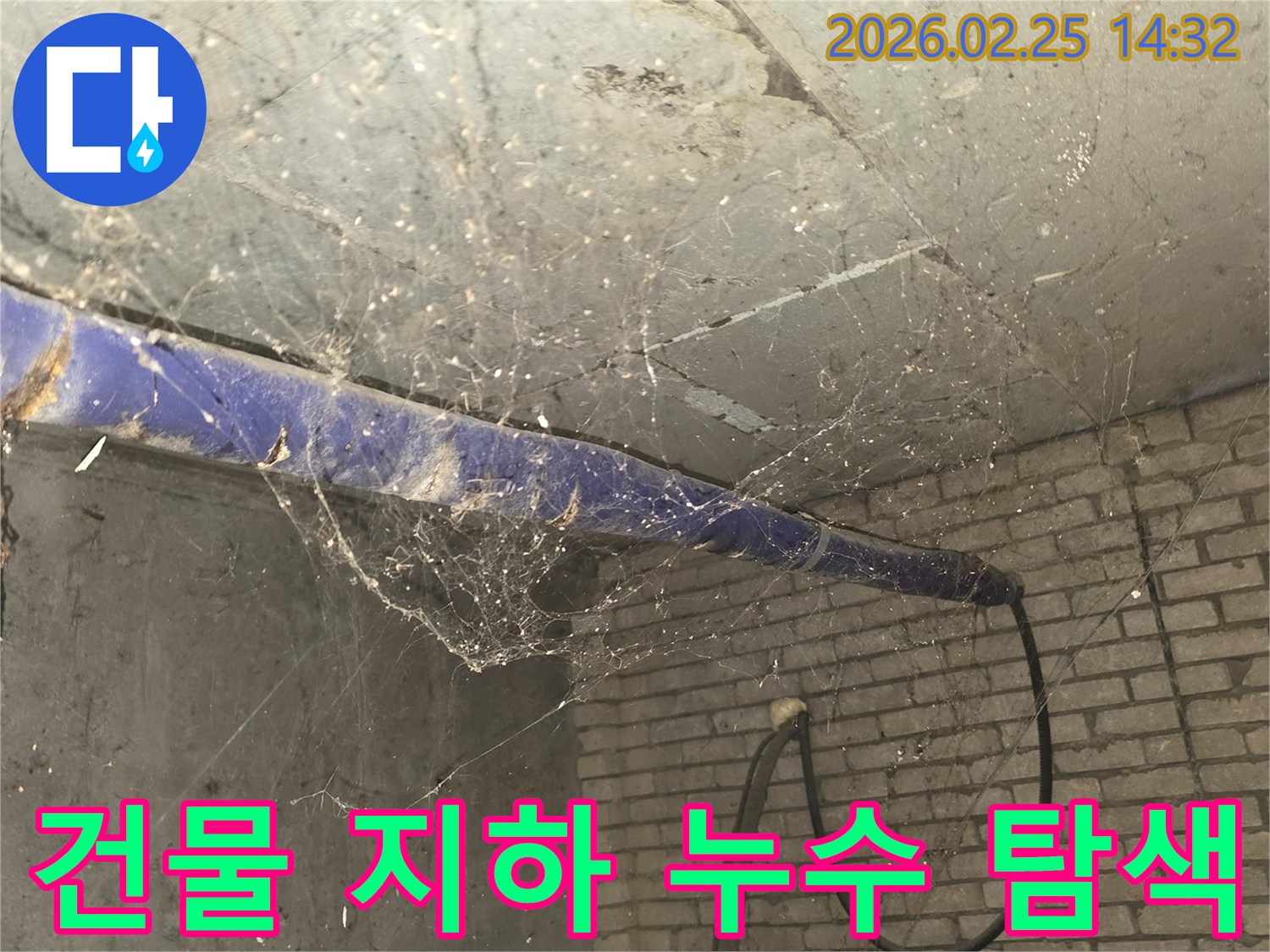 강동구 진황도로 인근 건물-지하 천장에 거미줄이 엉켜있는-누수 원인 정밀 탐색 전-현장 준비 모습을 담은 사진입니다.