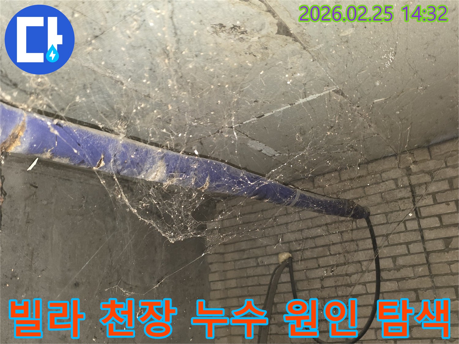 강동구 진황도로 인근 빌라-지하 천장에 거미줄이 엉켜있는-누수 원인 탐색 전-현장 준비 모습을 담은 사진입니다.