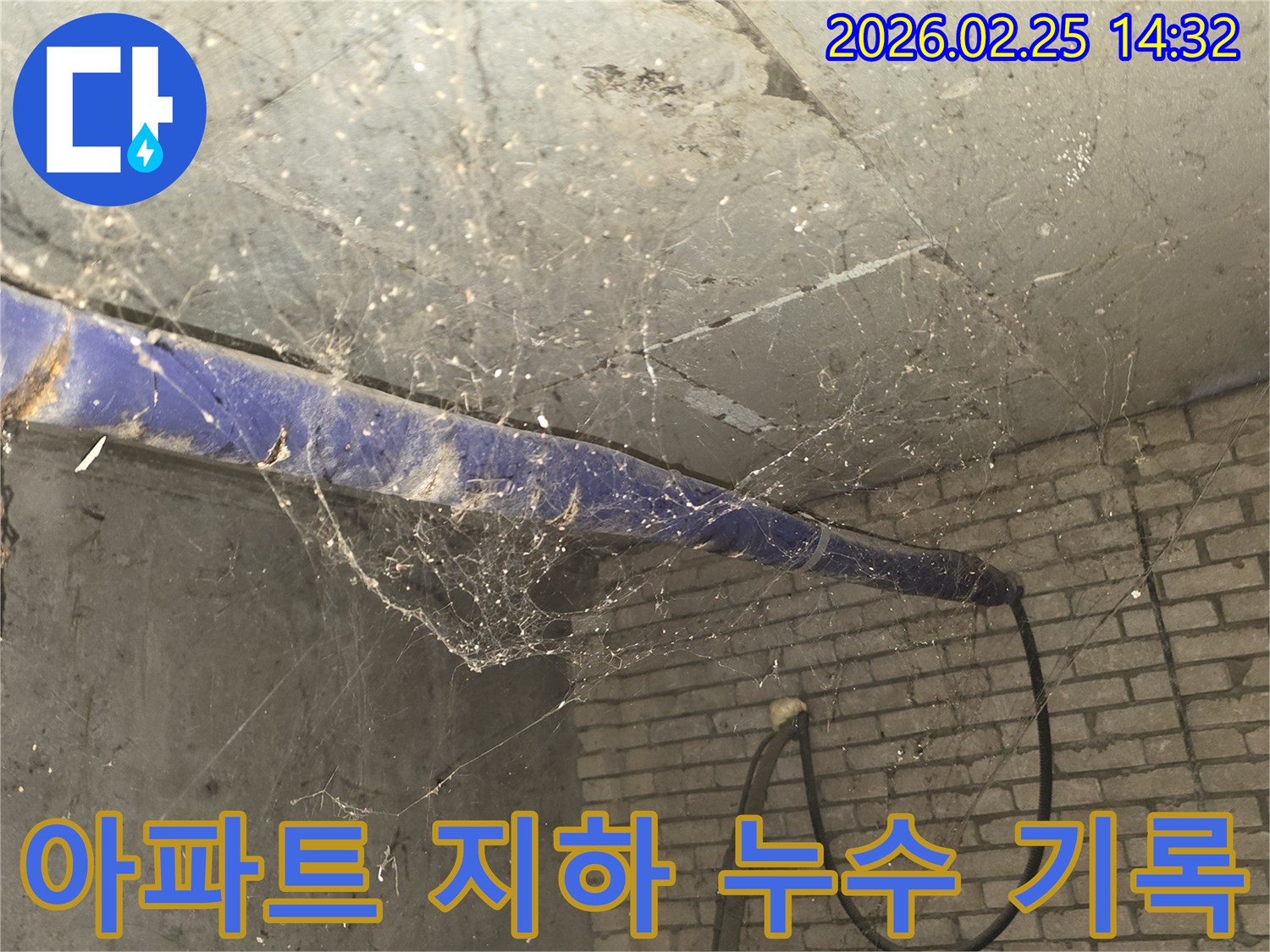 강동구 진황도로 인근 아파트-지하 천장에 거미줄이 엉켜있는-누수 발생 현장 기록 모습을 담은 사진입니다.