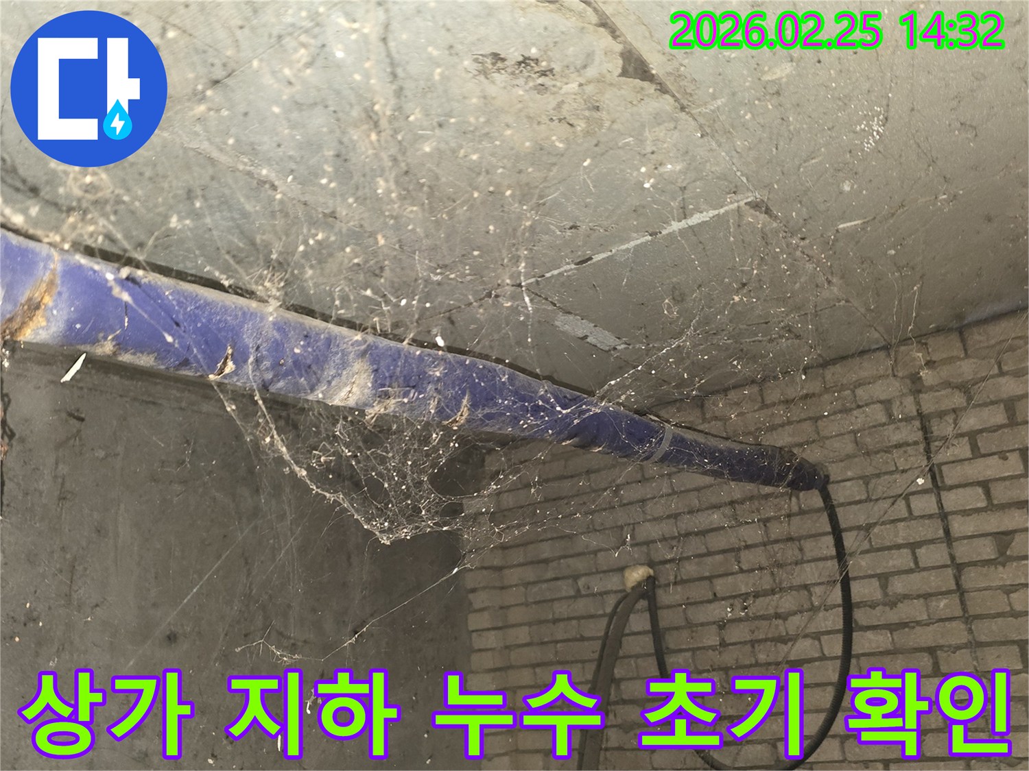 강동구 진황도로 인근 오래된 상가-지하 천장에 거미줄이 엉켜있는-누수 초기 현장 확인 모습을 담은 사진입니다.