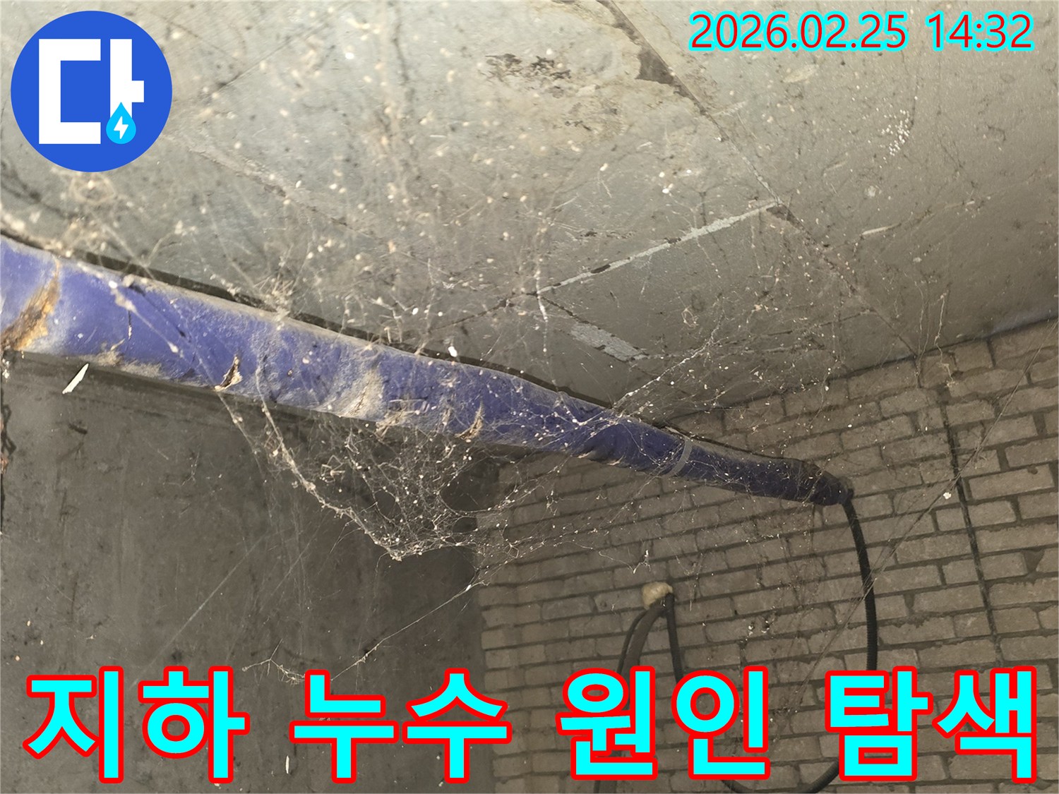 강동구 진황도로 인근-오래된 지하 공간의 천장에-거미줄과 먼지가 가득한-누수 원인 탐색 전-현장 상황을 보여주는 사진입니다.