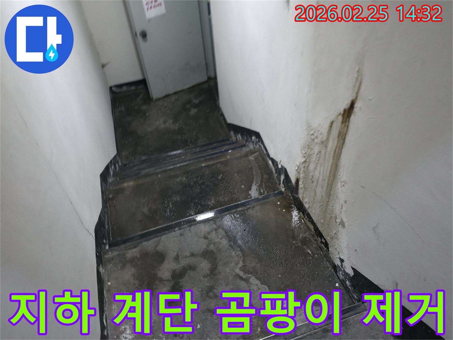 강동구-진황도로-지하-계단-벽면과-바닥에-누수로-인해-발생한-곰팡이와-습기-현장