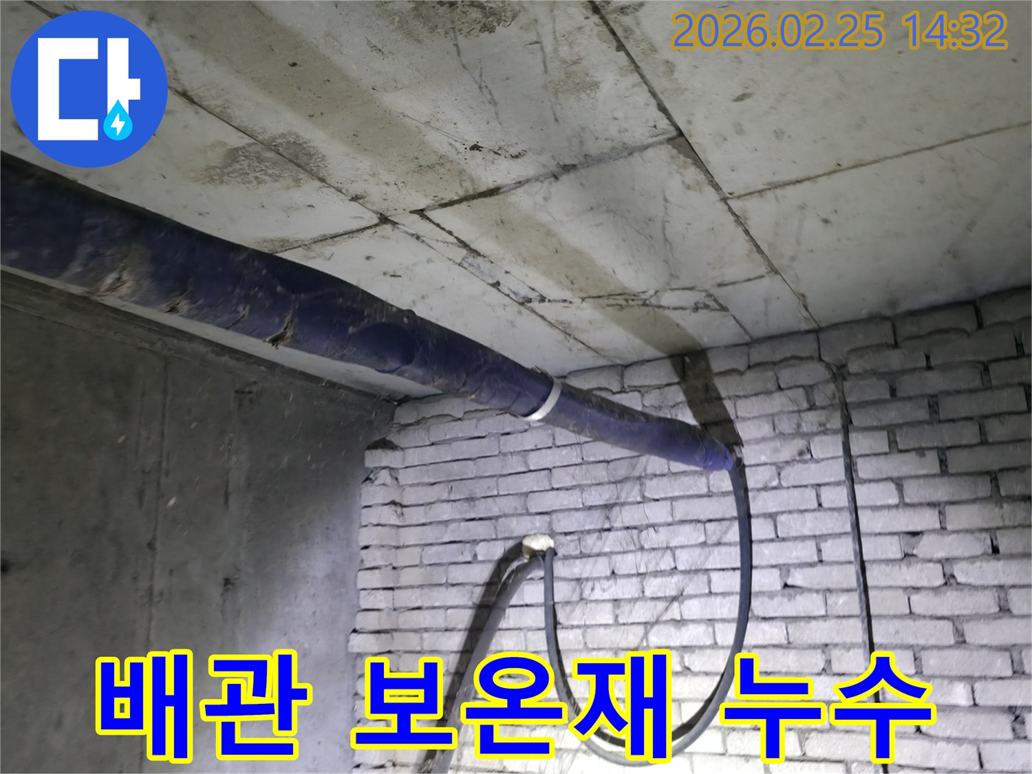 강동구의-지하 배관 보온재 파손으로-물이 새는 현장을-전문가가 정밀하게 진단하는 모습