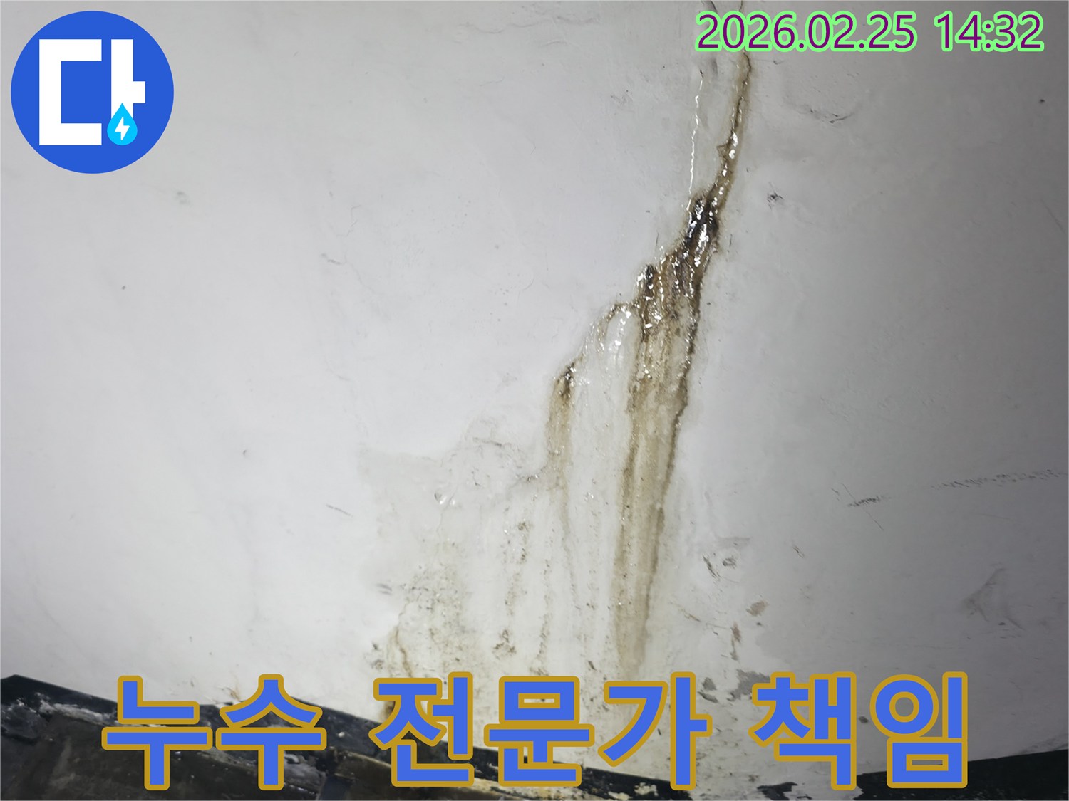 심각하게-오염되고-훼손된-누수 현장을-정밀하게-진단하는-누수 전문가의-모습