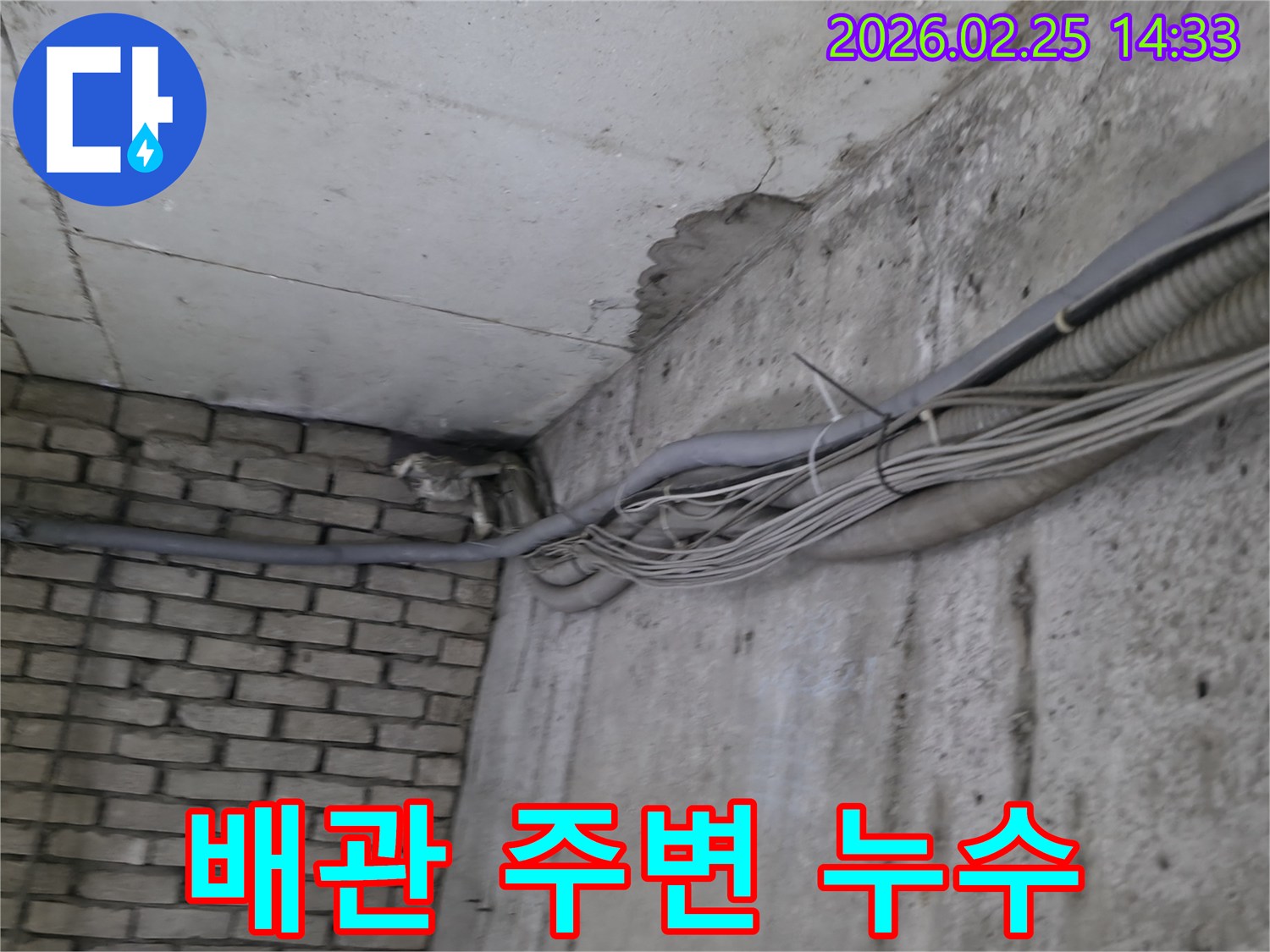 오랜 시간 동안-물이 스며들어-변색되고 손상된-지하 벽면과-그 주변을 지나는-다수의 배관