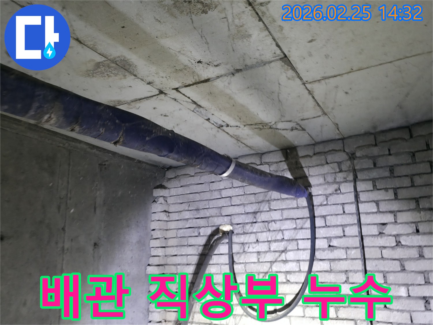 진황도로 211 인근-지하 배관의 직상부에서-발생한 누수 현상을-전문가가 정밀하게 탐지하는 모습