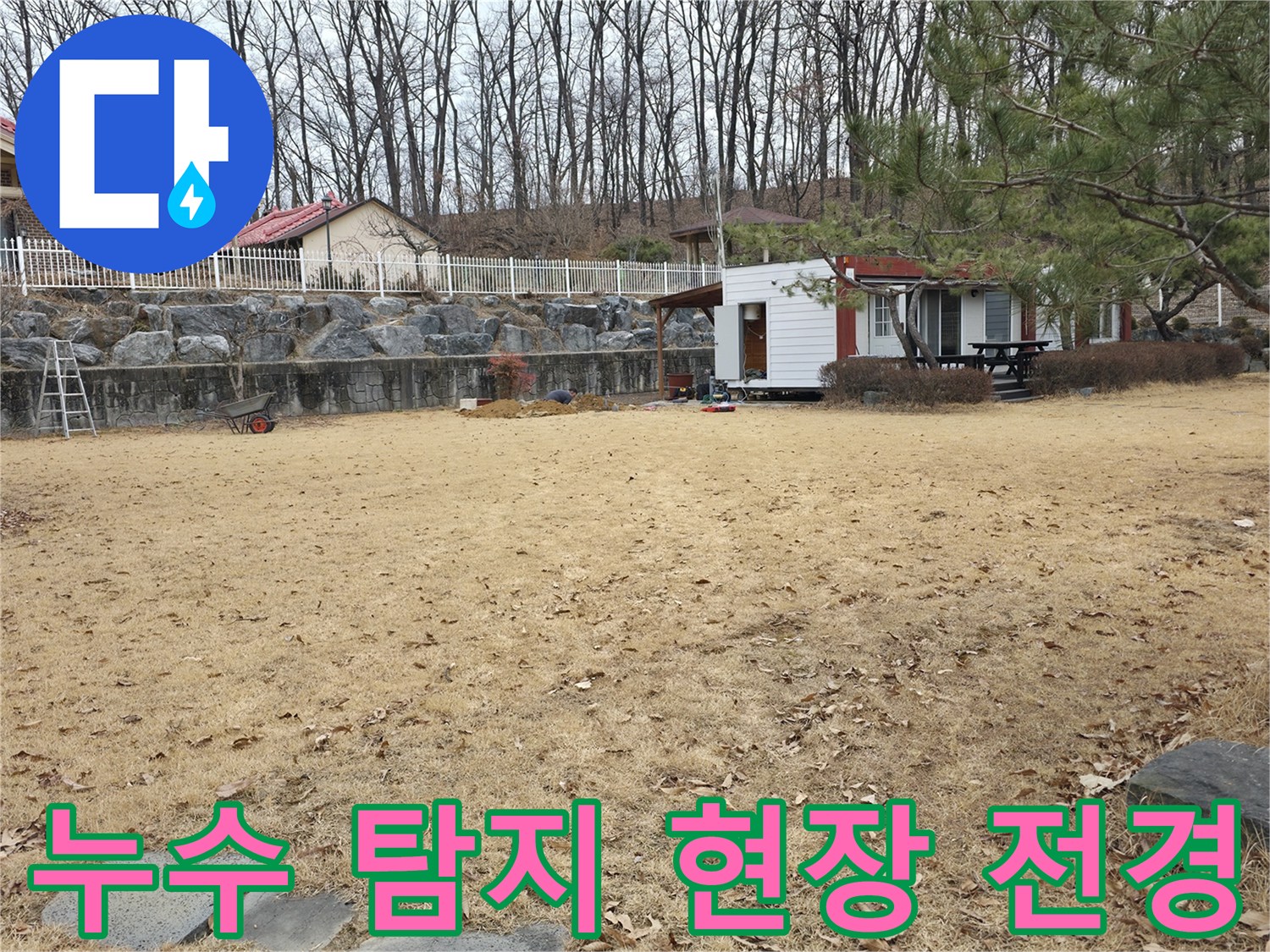 나무가 많은 양주 광적면 전원주측 마당의 전체적인 모습