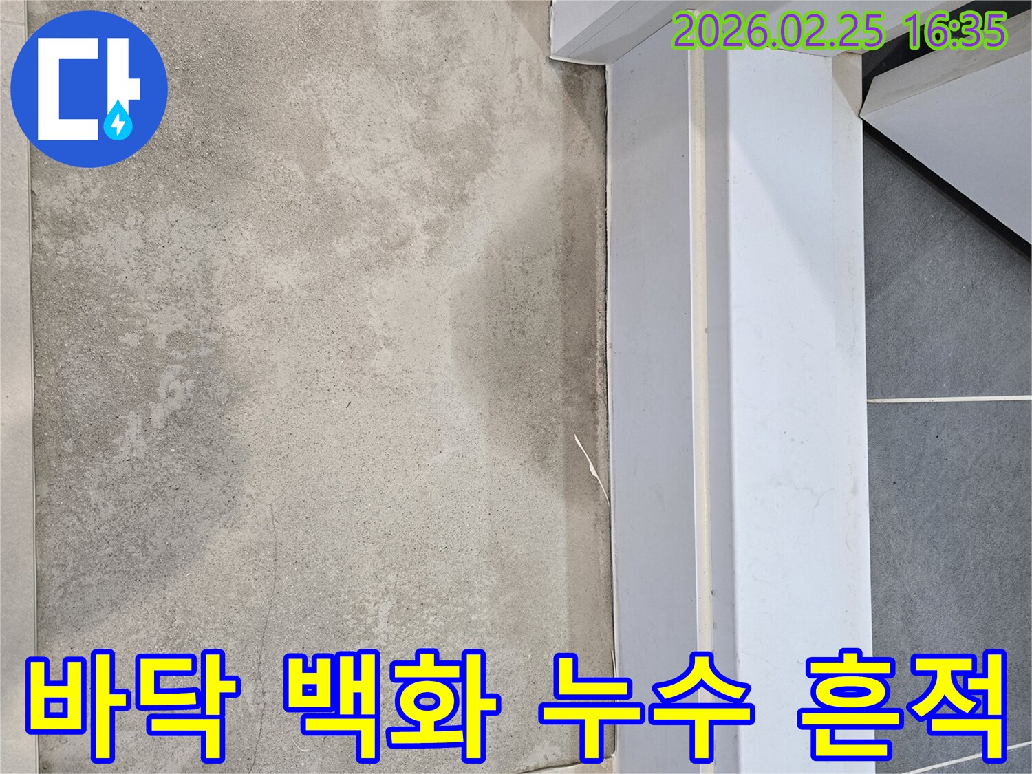 누수-전문가가-빌라-바닥의-백화-현상을-면밀히-분석하여-오랜-기간-지속된-누수의-흔적을-찾아내는-모습