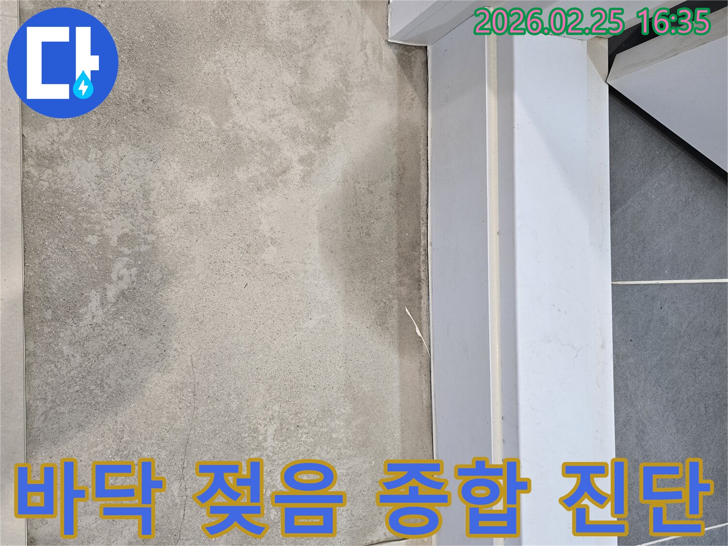 누수-전문가가-주택-바닥에-발생한-젖은-흔적을-통해-종합적인-누수-진단-서비스를-제공하는-모습