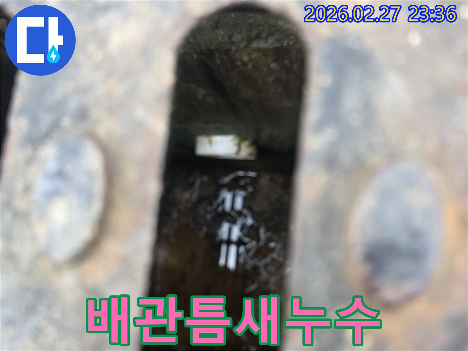 녹슨-철제-배수구-아래-고인-물과-물속에-비치는-배관-연결부의-미세한-틈새가-보이는-누수-현장