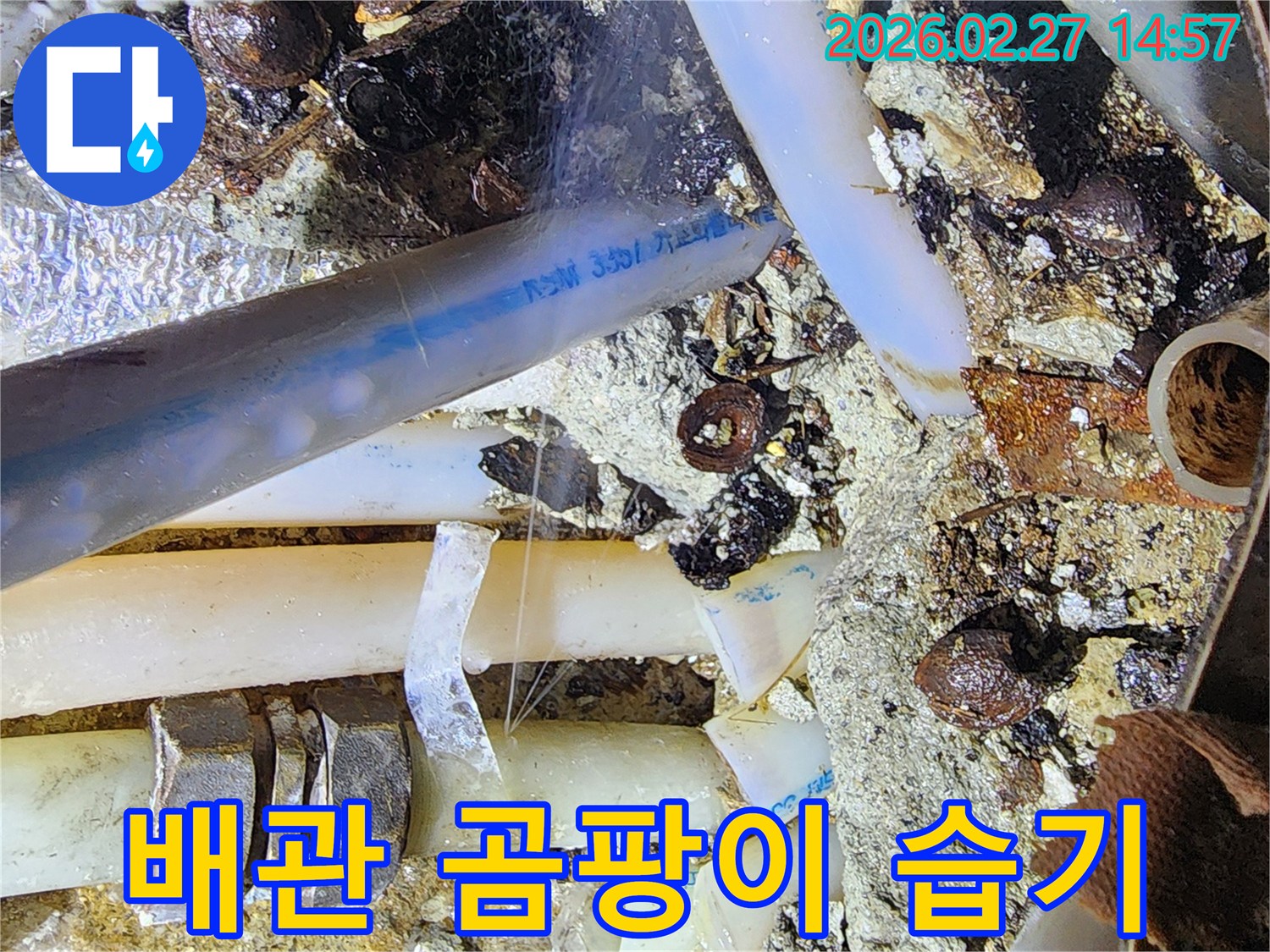 누수로-인해-발생한-배관-주변의-곰팡이와-습기를-제거하는-작업-현장을-보여주는-이미지입니다