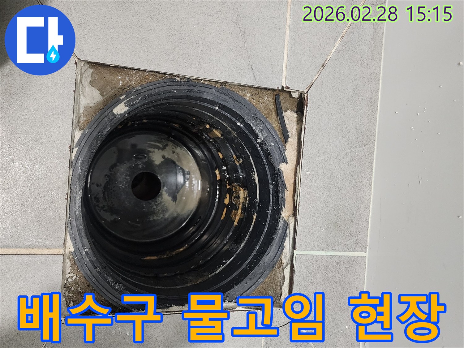 이-사진은-서울-금천구-독산동-빌라-누수-현장에서-욕실-배수구-주변에-물이-고여있는-모습을-보여줍니다