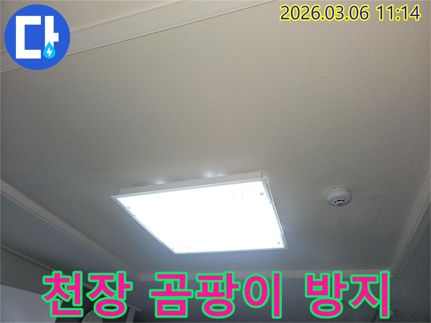 부천 오정구 누수 후 천장-곰팡이 방지 솔루션을 적용하는 현장 이미지입니다-깨끗한 천장 유지를 위한 필수 과정입니다