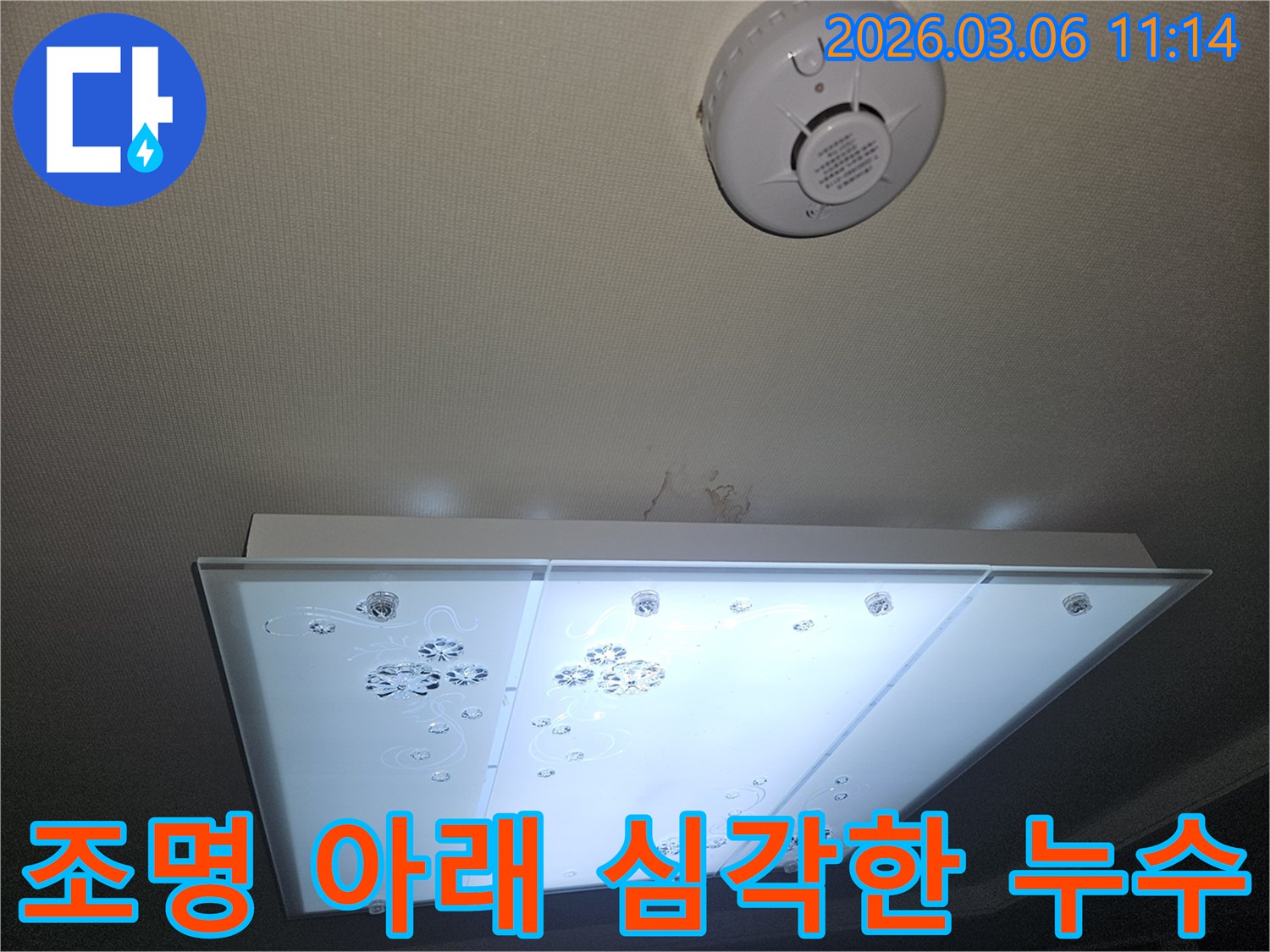 천장 조명 아래 심각하게 번진 물자국 흔적을-전문가가 확인하며 전기 안전 위험 여부를 진단하는 모습