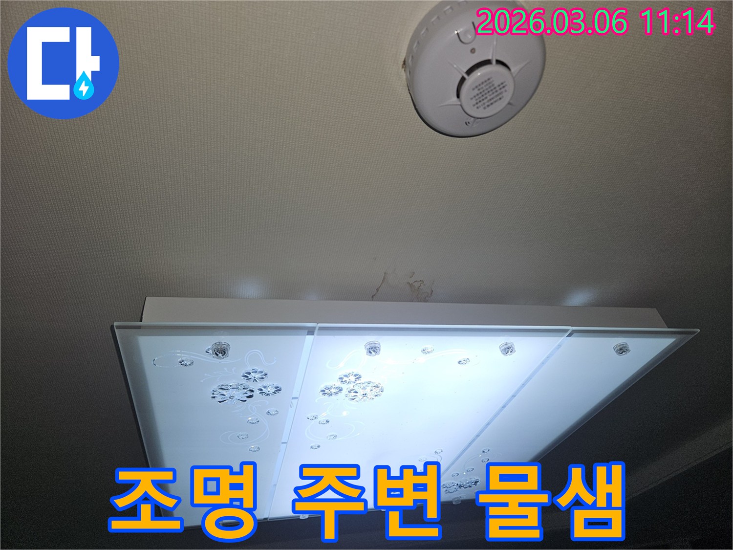 천장 조명 주변에서 물이 새는 흔적을-전문가가 면밀히 관찰하며 누수 지점을 파악하는 장면