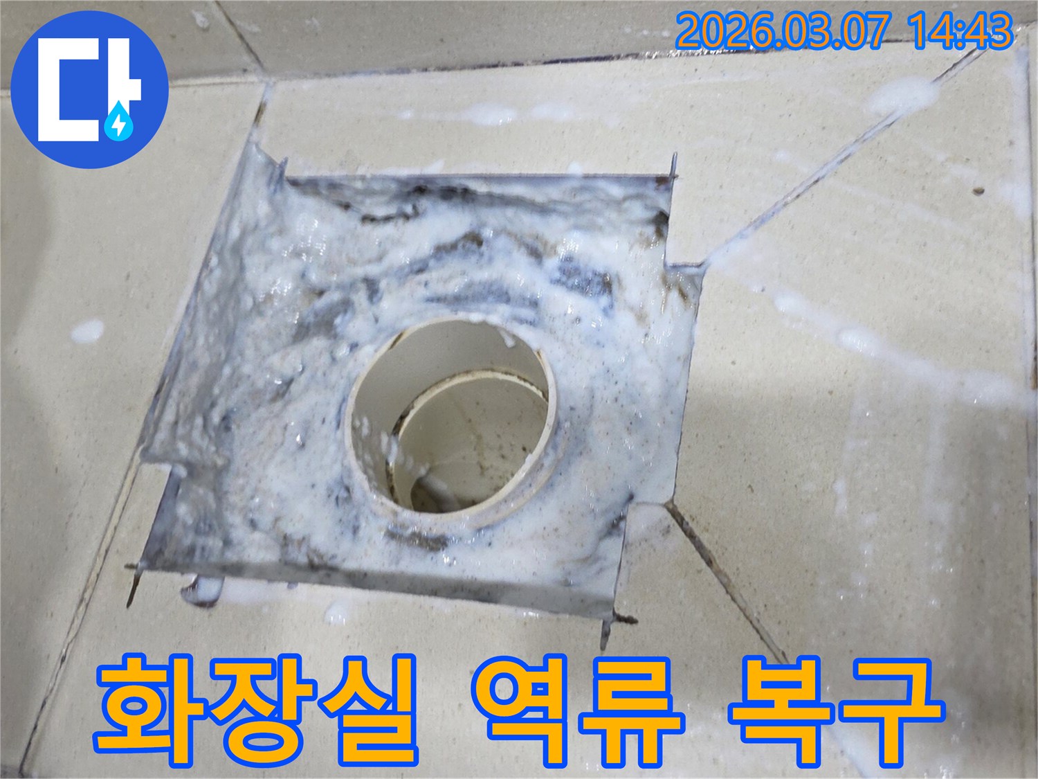 배수구에서 하얀 거품이 넘쳐흐르는-화장실 배관 역류의 심각한 상황을 담고 있습니다.