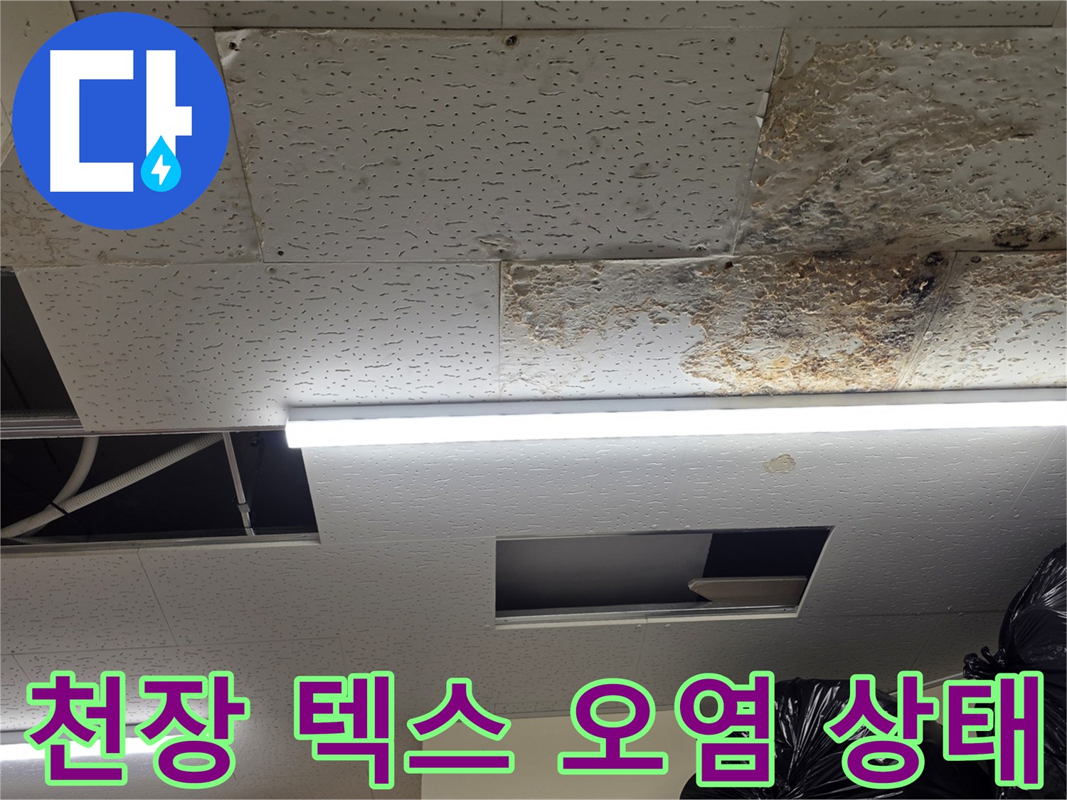상가-천장-텍스-부위의-젖은-얼룩-및-곰팡이-상태