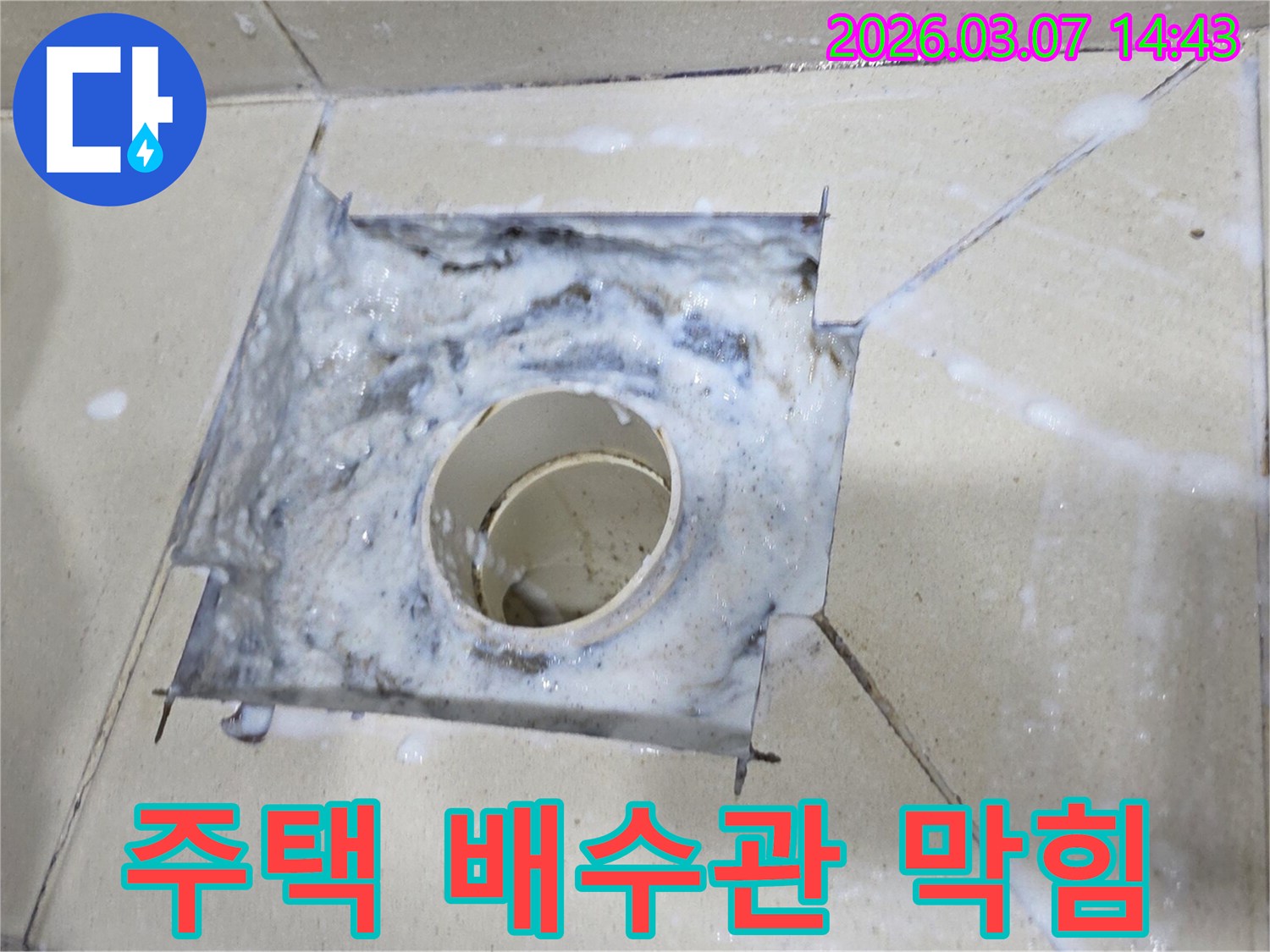 주택 화장실 배수구에서 하얀 거품이 넘쳐흐르는-배관 막힘으로 인한 역류 현장을 보여줍니다.