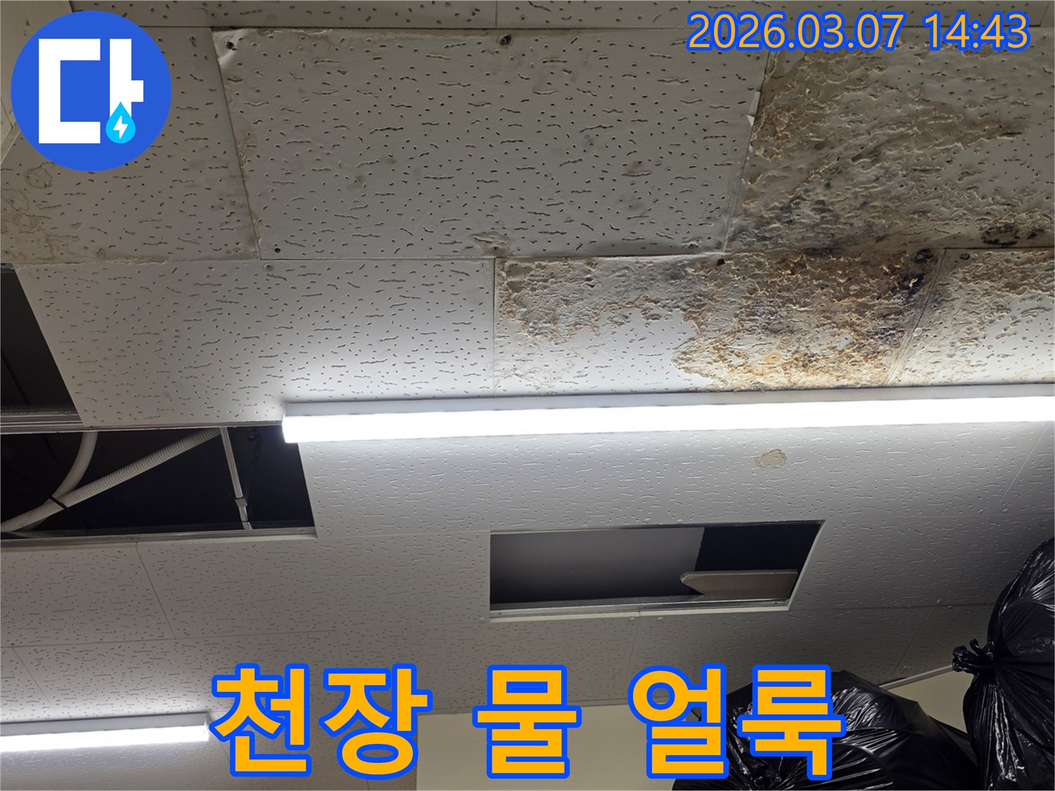 천장 마감재에-누수로 인한-심한-물 얼룩이-발생한-현장을-보여주며-윗집 누수가-의심되는-사진입니다