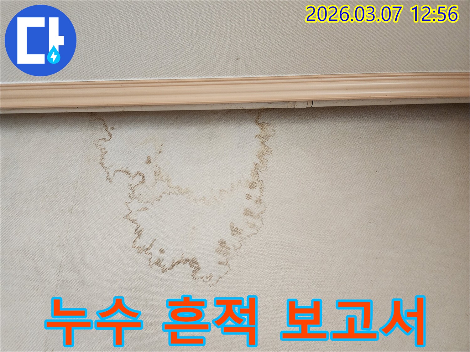 천장 누수 흔적을 면밀히 분석하여-상세한 보고서를 작성하는-전문가의 작업 현장입니다