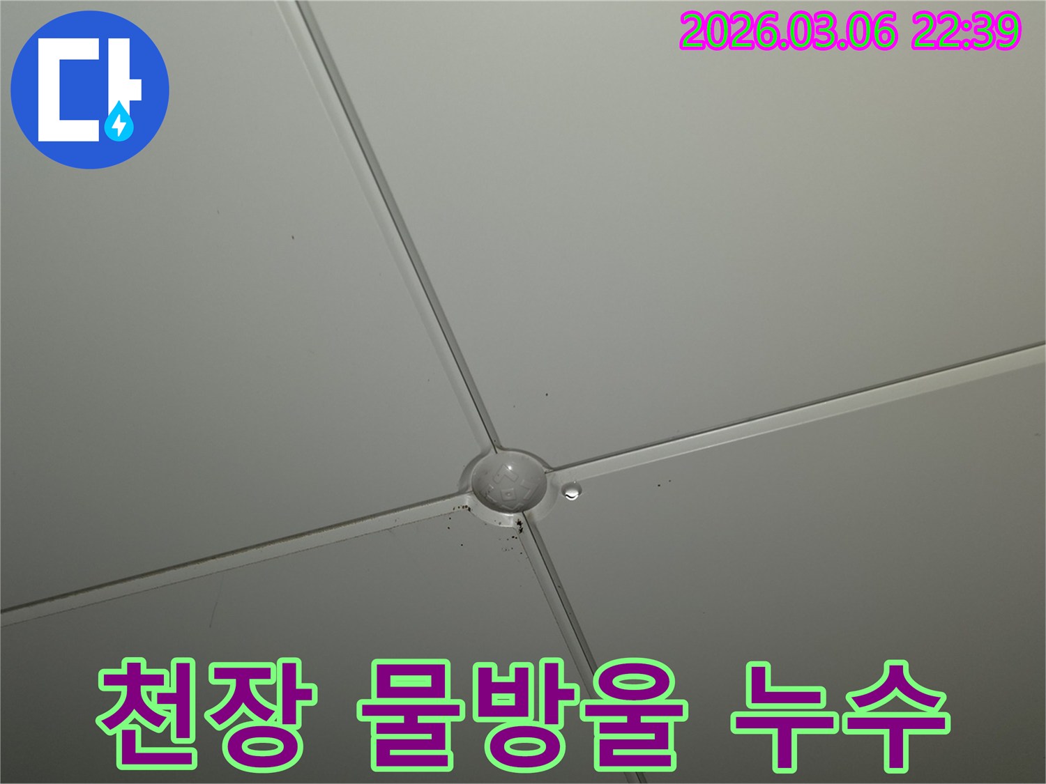 천장 마감재 연결 부위에서-작은 물방울이 맺혀있는-누수 발생 초기 현장