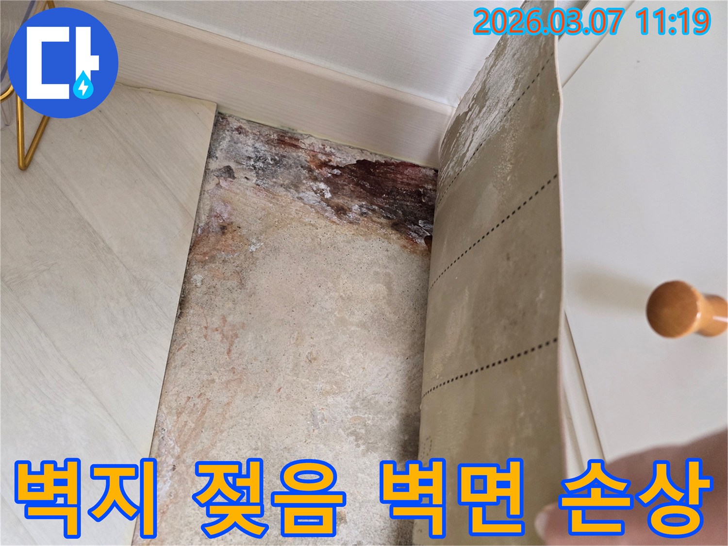 벽지를 제거한 후 드러난 벽면의 심각한 물기로 인한 손상과-곰팡이 흔적을 보여주는 사진