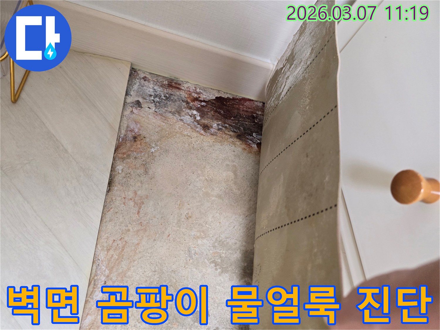 벽지를 제거한 후 드러난 벽면의 심각한 물얼룩과-곰팡이로 오염된 벽면의 상세 이미지
