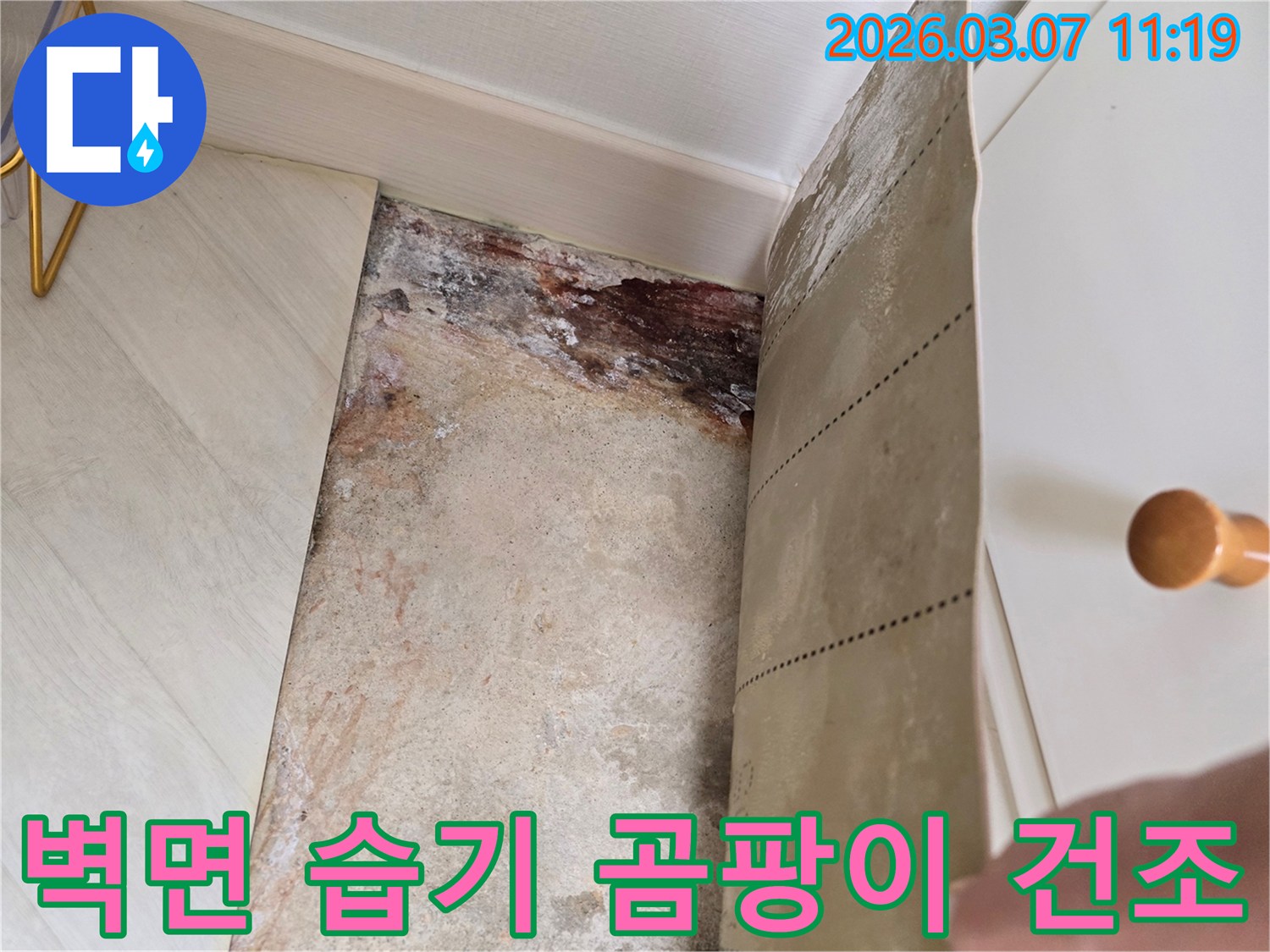 벽지를 제거한 후 발견된 벽면의 심각한 습기 흔적과-곰팡이로 오염된 벽면의 상세 이미지