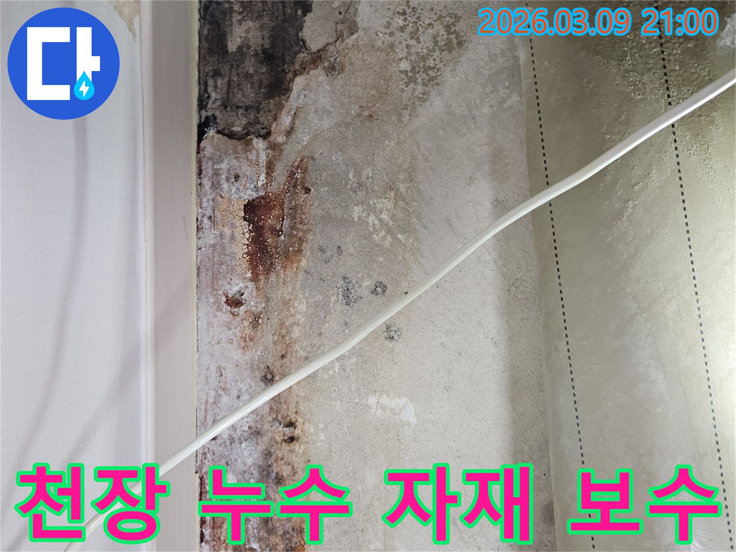 천장-누수-보수-공사에-사용될-고품질-자재들을-준비하고-있는-모습