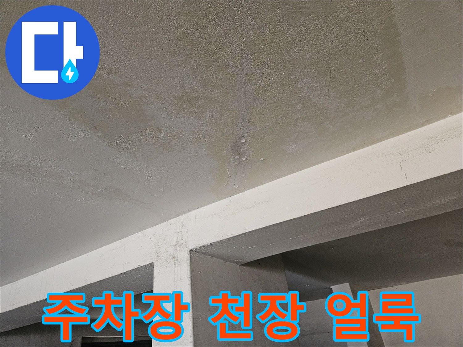 도봉구 빌라 주차장 천장 부위의 누수 흔적과 습기 상태
