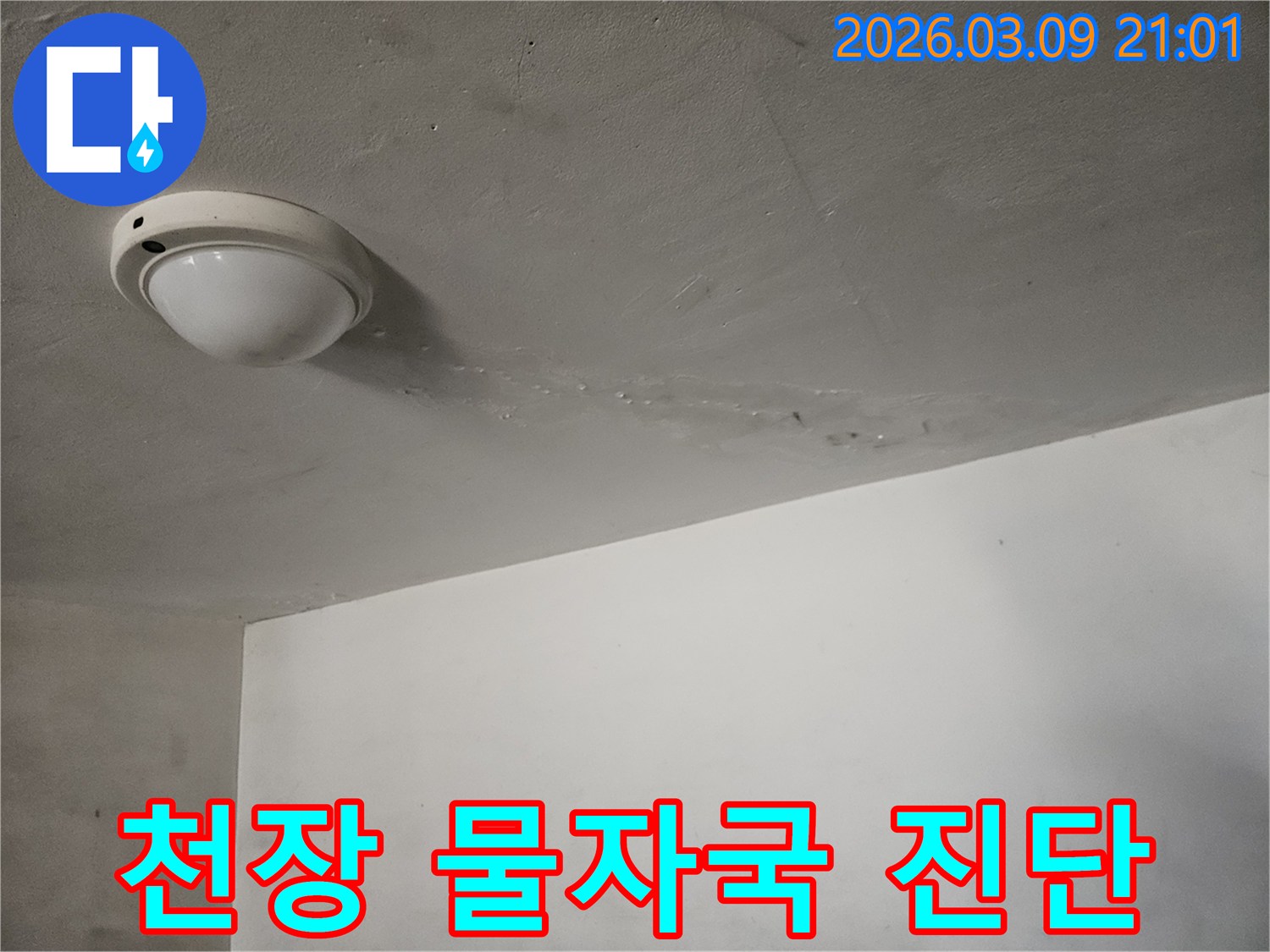천장-조명-주변에-물에-젖어-생긴-물자국이-선명하게-보이는-곳으로-누수-진단이-필요한-현장입니다