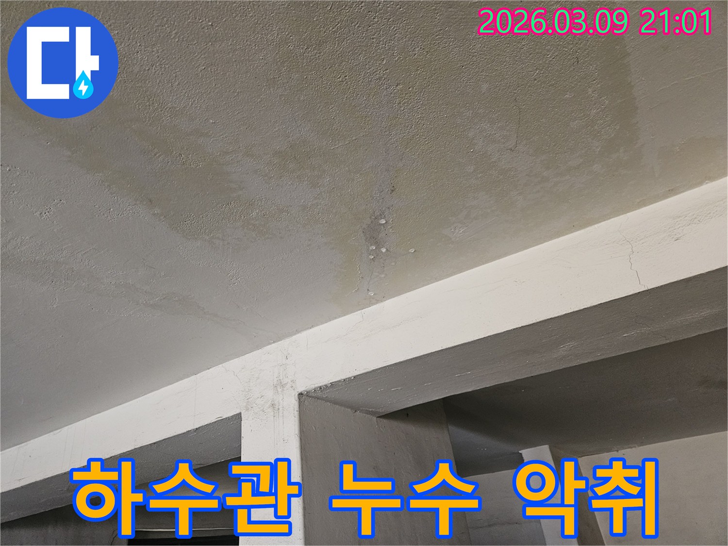 콘크리트 천장에서-물이 새어-얼룩지고-물방울이 맺힌-누수 현장을-하수관 문제로-추정하여-확인하는-모습입니다.