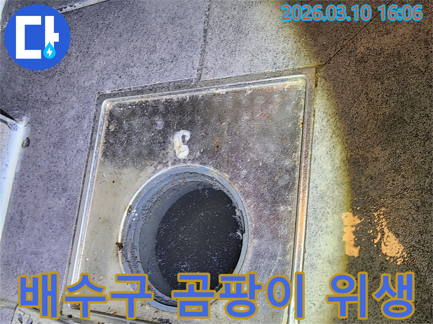 이 사진은-서울 중구의 한 건물에서-배수구 주변의-습기와 오염으로 인한-곰팡이 발생 가능성을-진단하며-위생 문제를 확인하는-현장을 보여줍니다