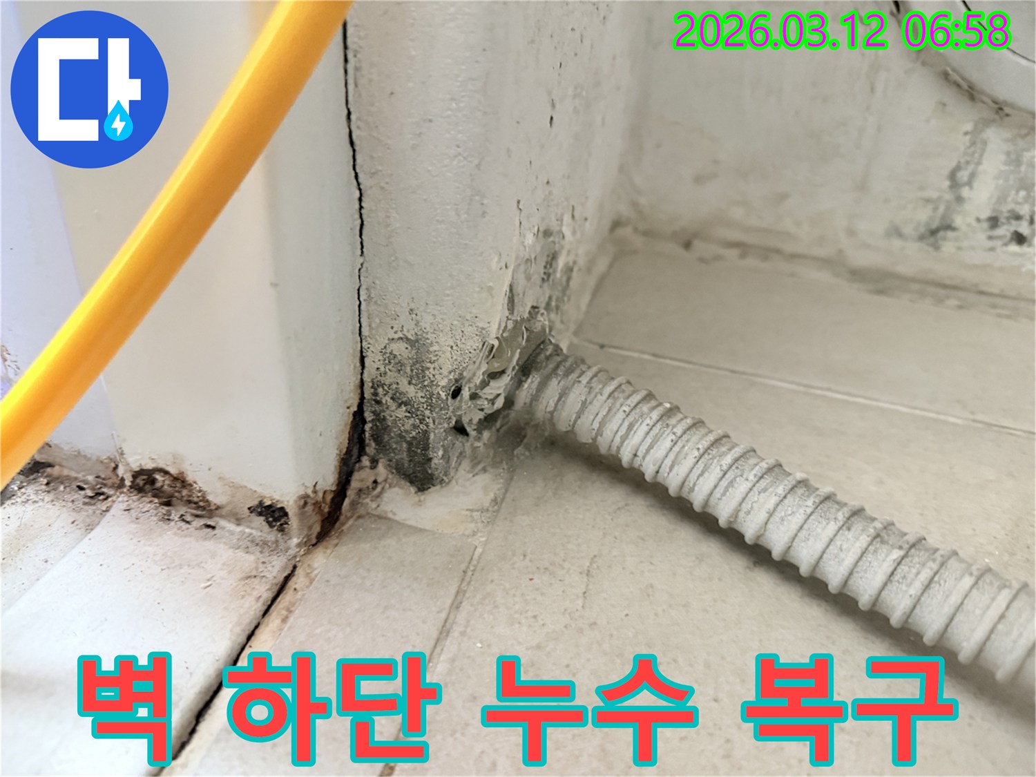 마포구-대흥동-다세대-주택-벽-하단부의-심각한-누수-흔적과-곰팡이-상태-사진