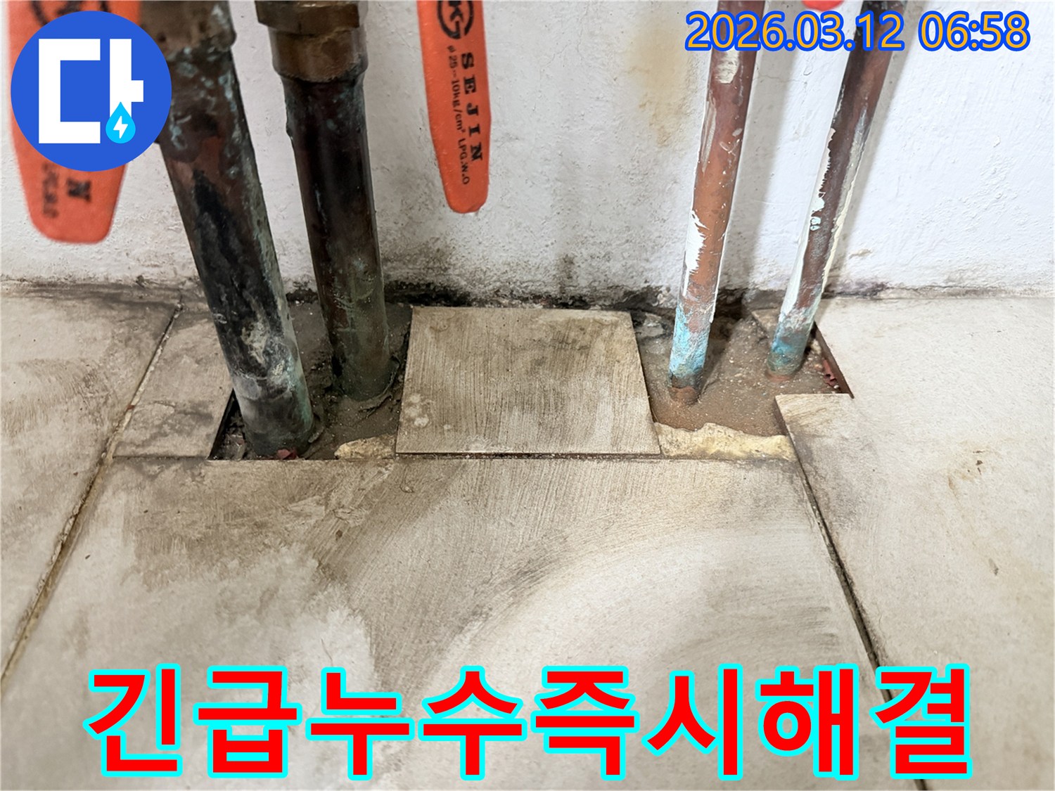 마포구-현장에서-오래된-배관의-긴급-누수-상황을-확인하고-지금-바로-해결해야-할-문제임을-강조하고-있습니다