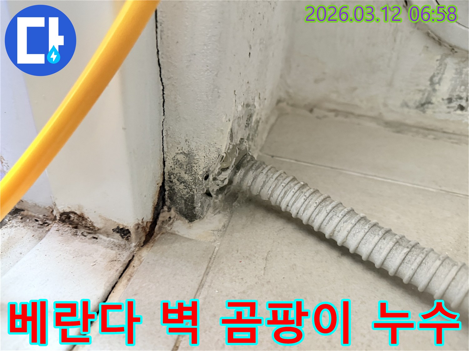 물샘-현상으로-인해-벽지가-손상되고-곰팡이가-번진-마포구-주택-내부