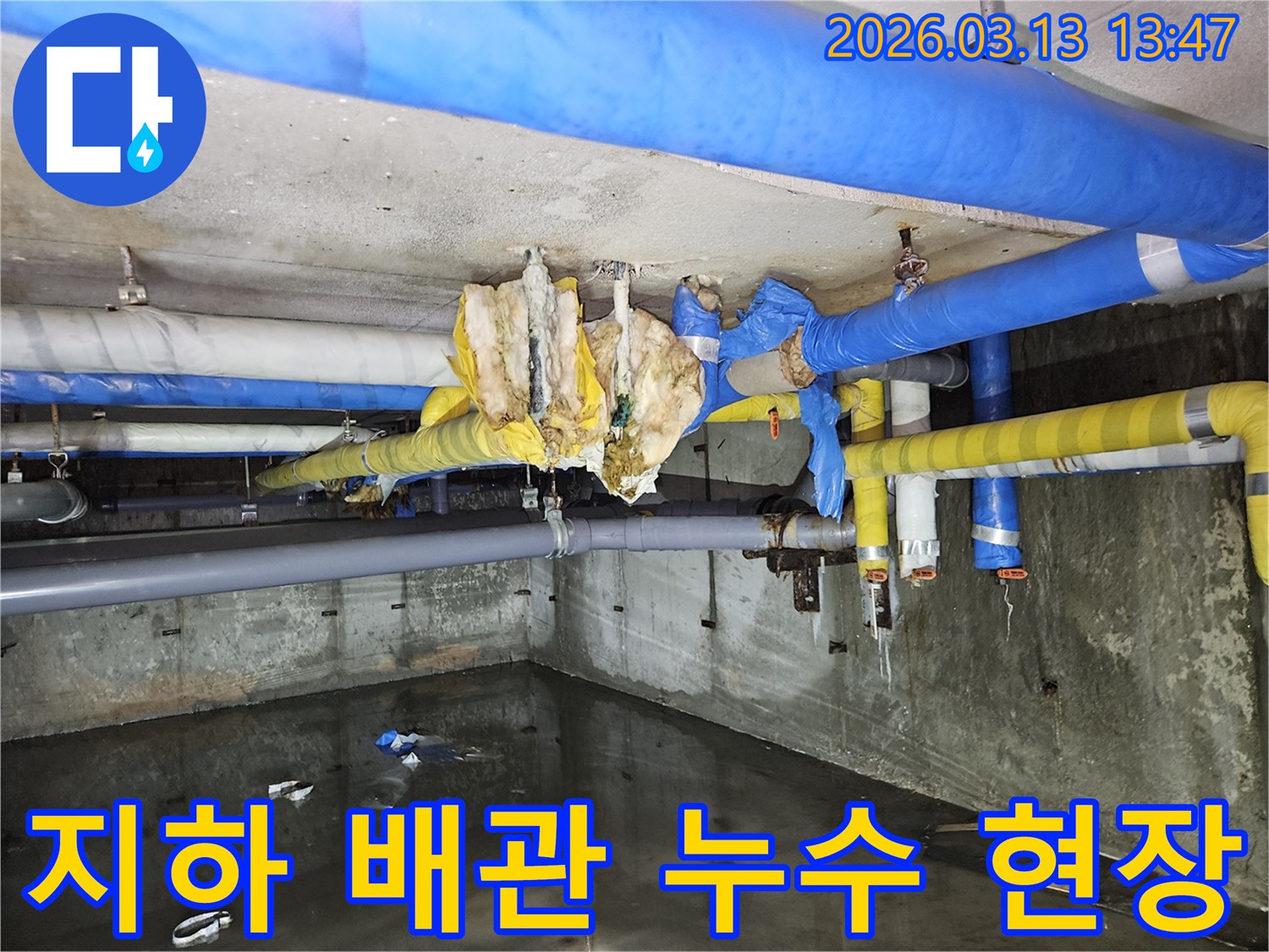 물이-고여있는-지하-공간과-손상된-배관-보온재-현장