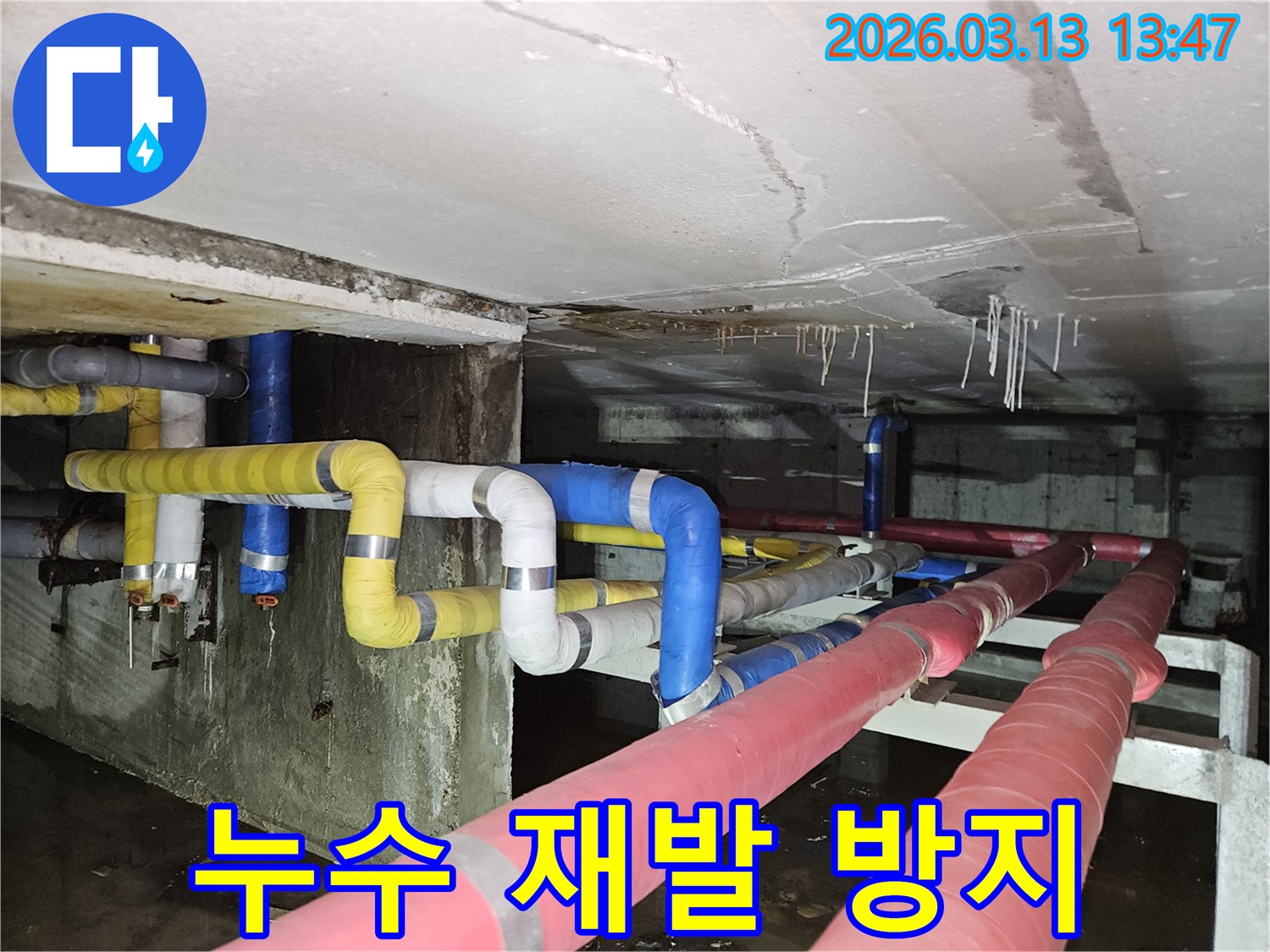 지하 천장 배관에서-누수가 발생하여-물이 떨어지고-바닥에 고인 상황을-보여주는 현장 사진