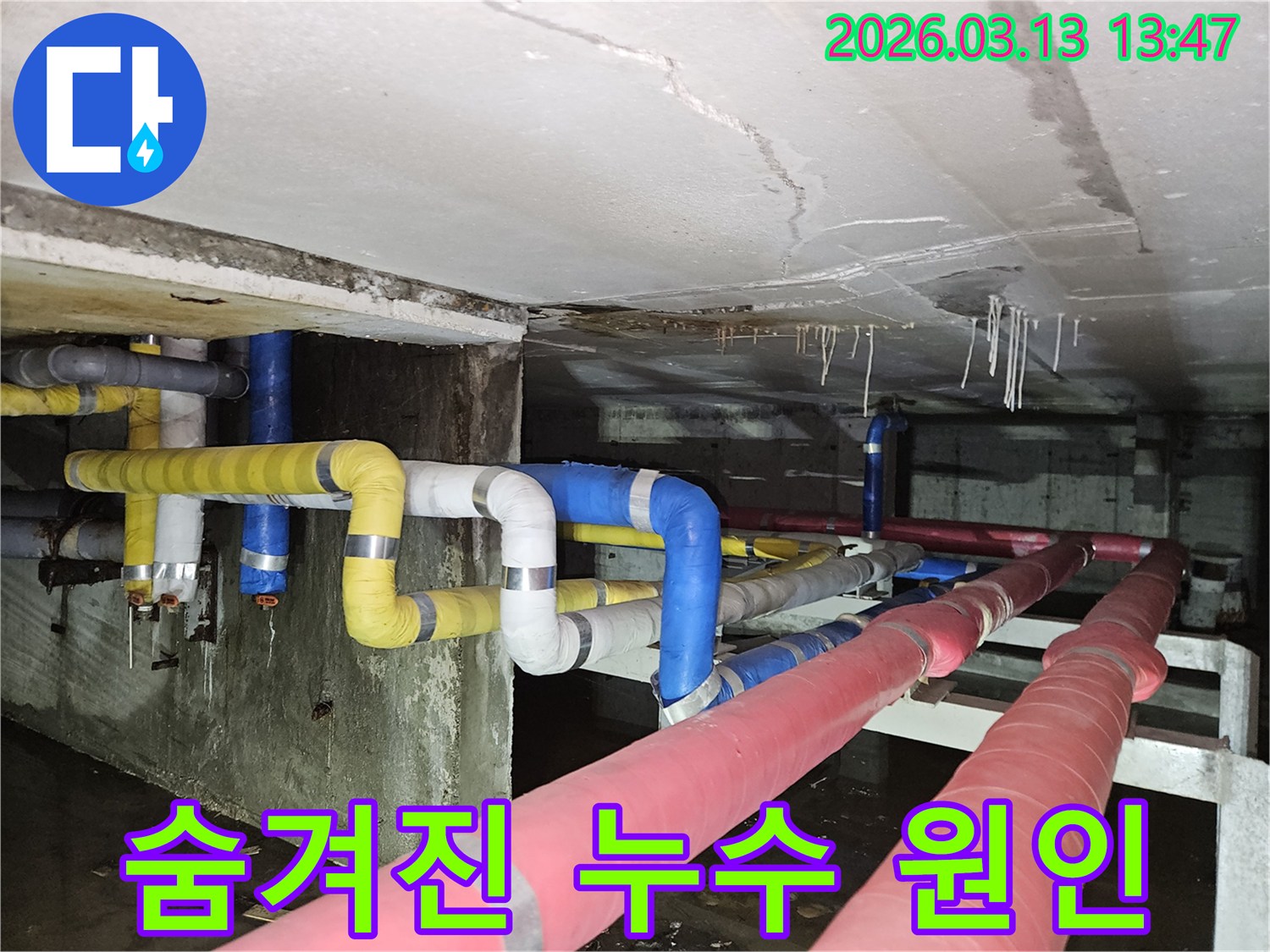 지하 천장에서-물이 떨어져-바닥에 고인 물과-다양한 배관들 사이에서-숨겨진 누수 원인을-찾아야 함을-보여주는 현장 사진