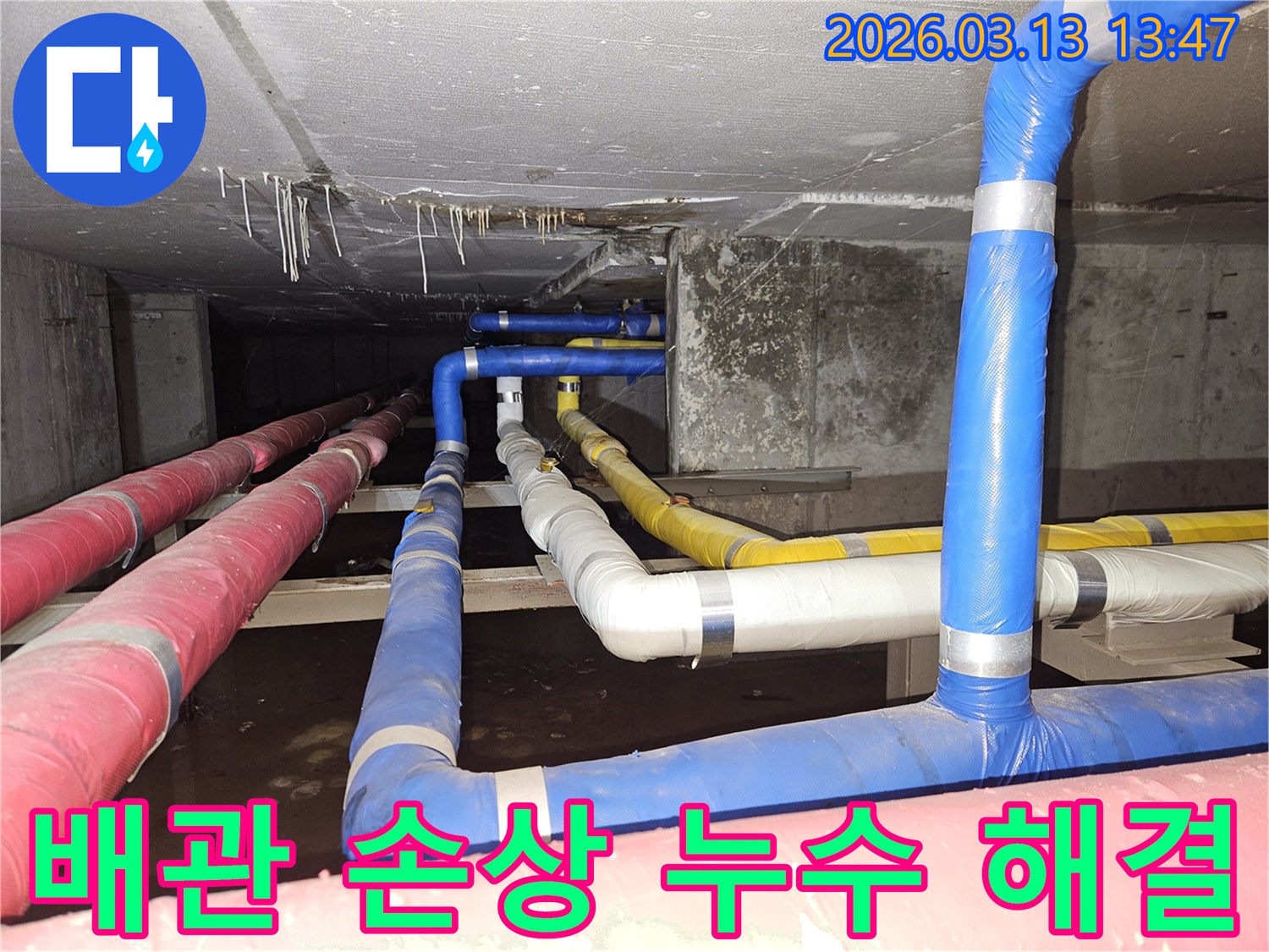 천장-아래-다양한-배관들에서-발생한-누수-손상을-정확히-파악하고-해결하는-전문가의-모습