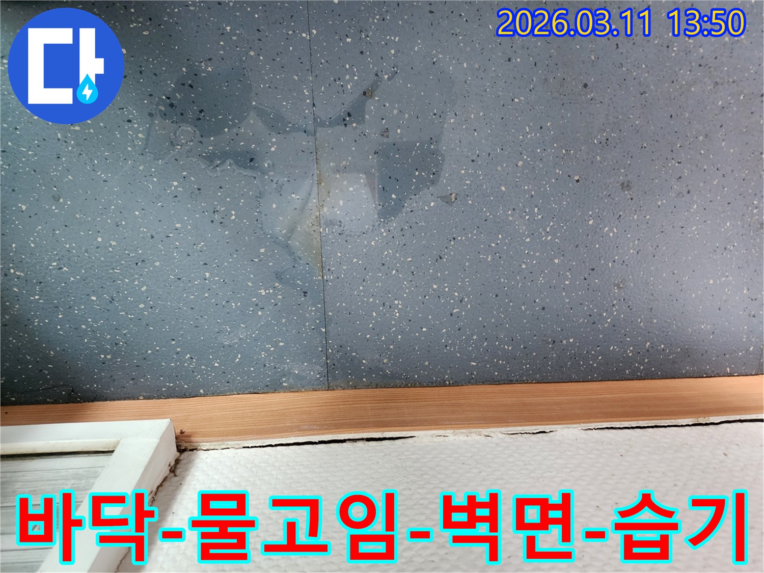 벽면과-바닥-경계에-물이-고여있고-벽면이-젖어있는-누수-현장-증거-사진