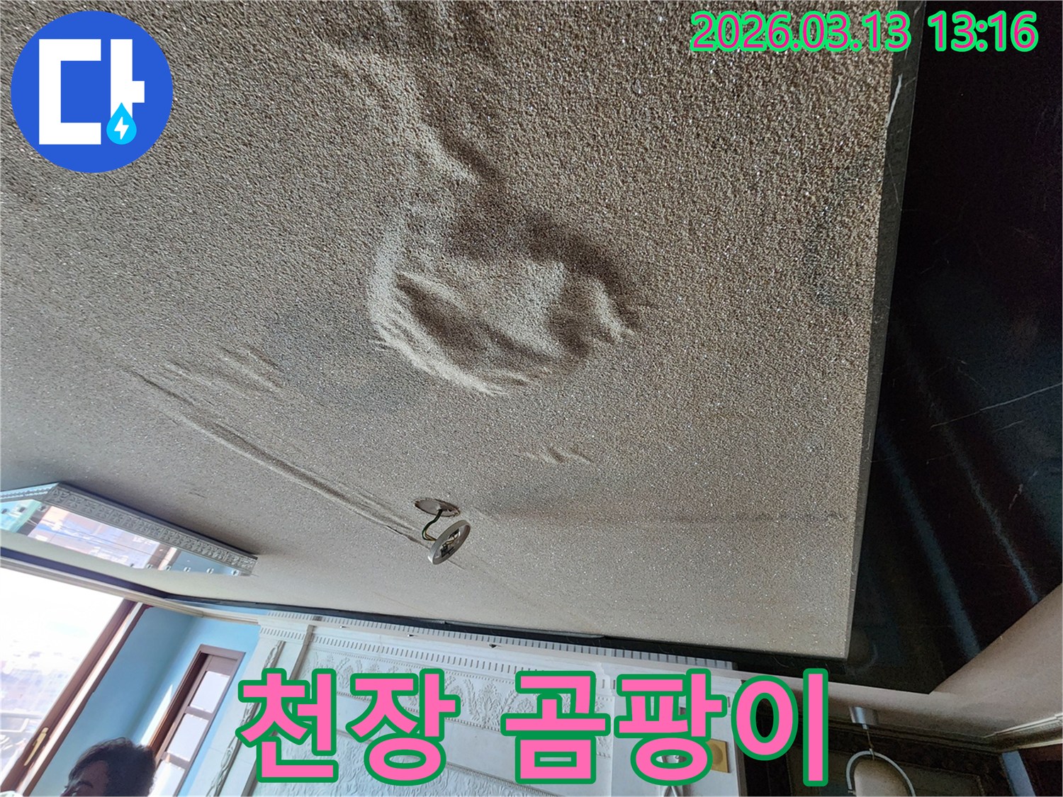 물에 젖어 변색되고 부풀어 오른 천장 마감재로-곰팡이 발생이 우려되는 누수 현장