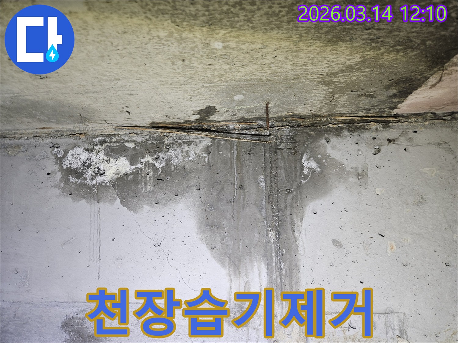 천장-콘크리트-표면에-물이-흐른-흔적과-습기가-가득하여-어둡게-변색된-누수-현장