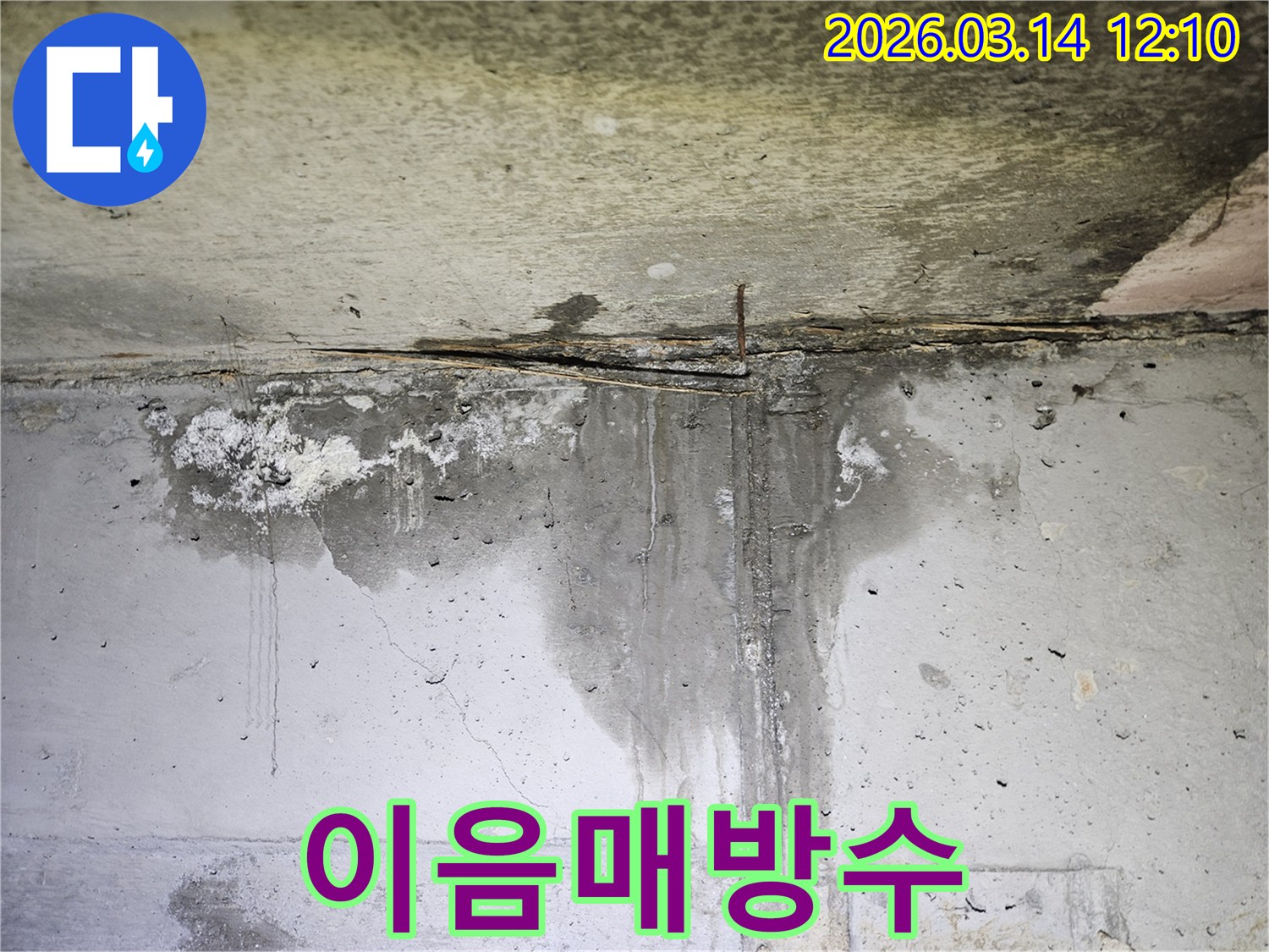 천장 콘크리트와 벽면의 이음새 부분에서-물이 지속적으로 새어 나와 벽면을 적시고 있는 현장
