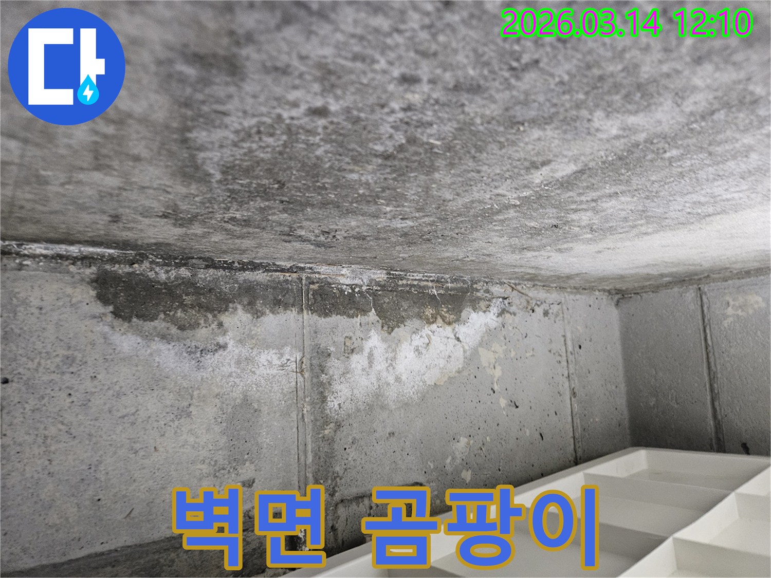 콘크리트-벽면과-천장-경계에서-발생한-누수로-인한-습기와-곰팡이-번식