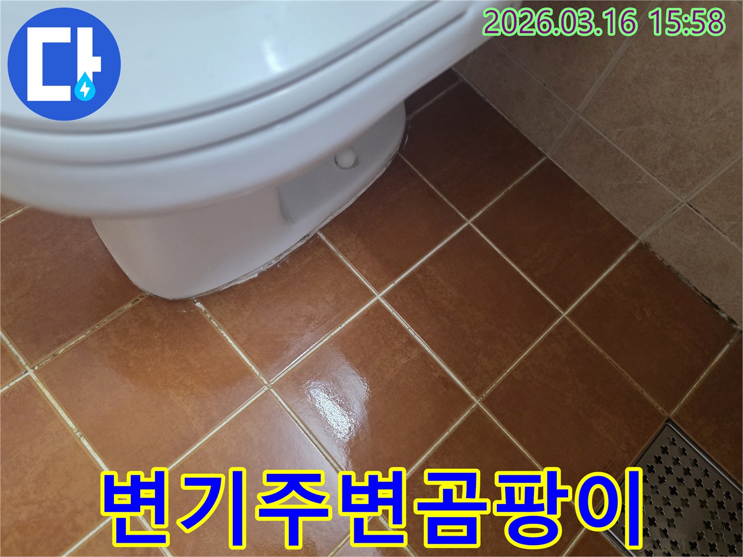 변기 하부 주변에-물기가 지속되어-곰팡이가 발생할-수 있는-누수 현장입니다