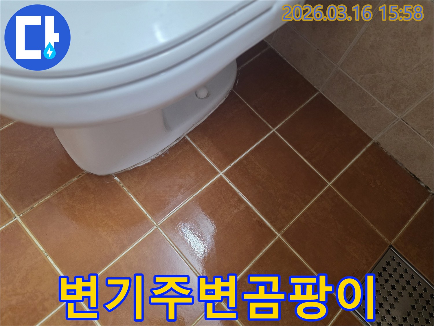 변기 하부 주변에-물기가 지속되어-곰팡이가 발생할-수 있는-누수 현장입니다